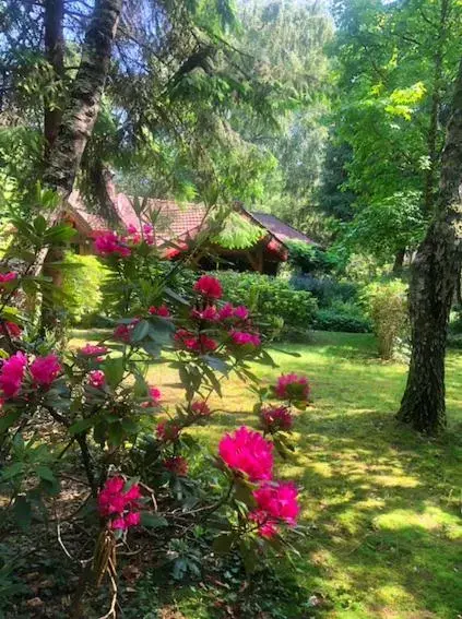 Garden in Chambre d'hôte txaleta (le Chalet)