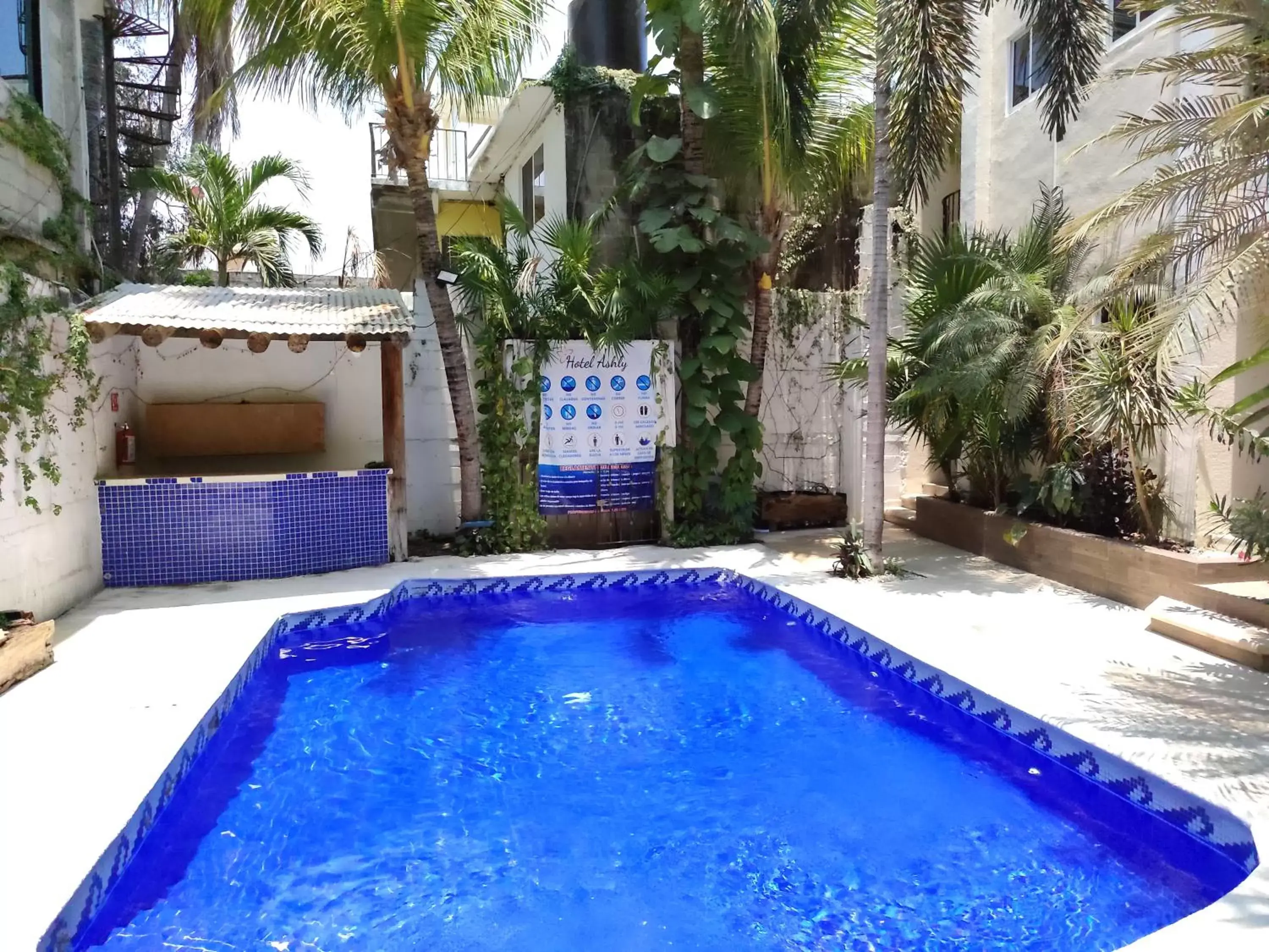 Swimming Pool in Hotel Ashly