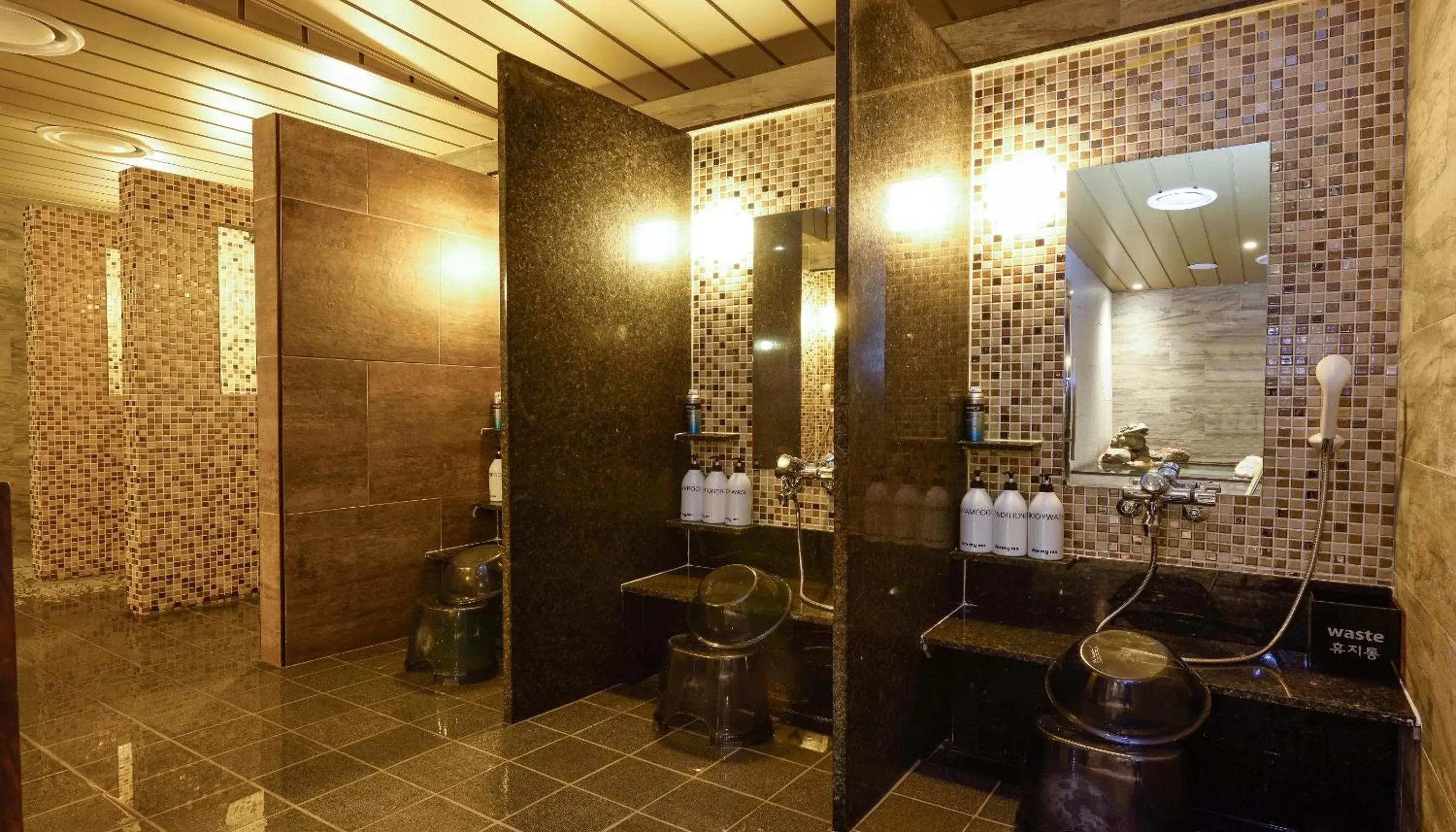 Public Bath, Bathroom in Dormy Inn SEOUL Gangnam