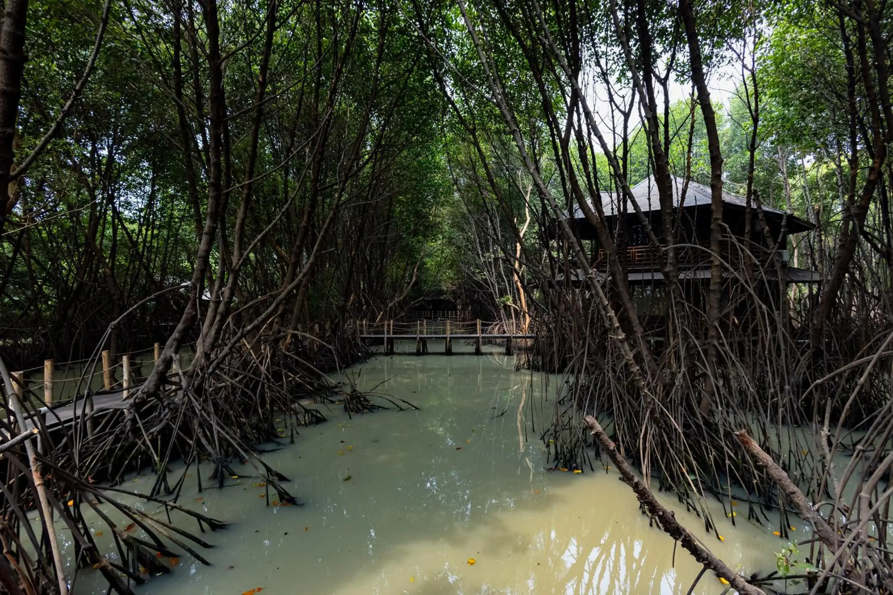 Other in RedDoorz Resort @ Taman Wisata Mangrove