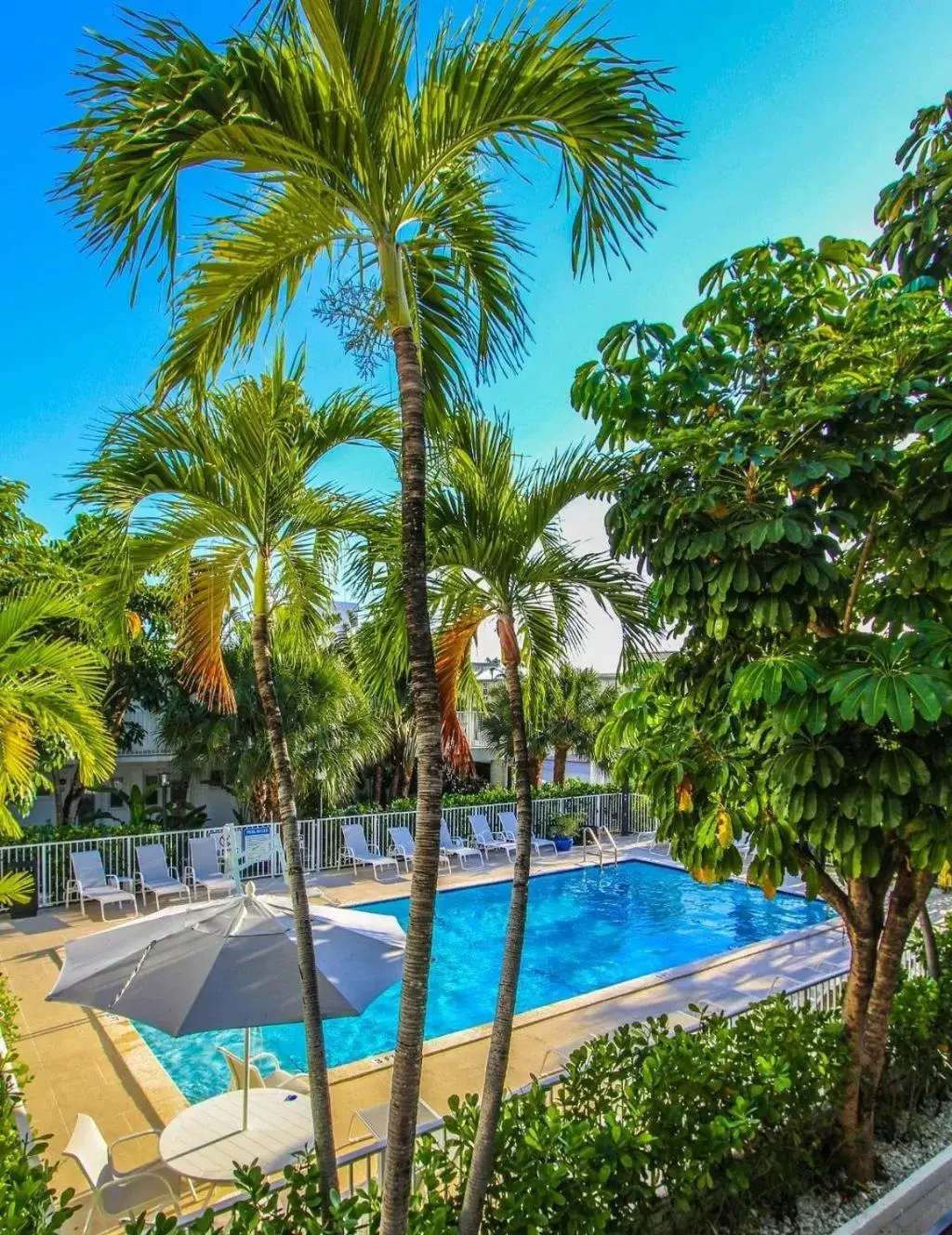 Pool view, Swimming Pool in Park Royal Miami Beach