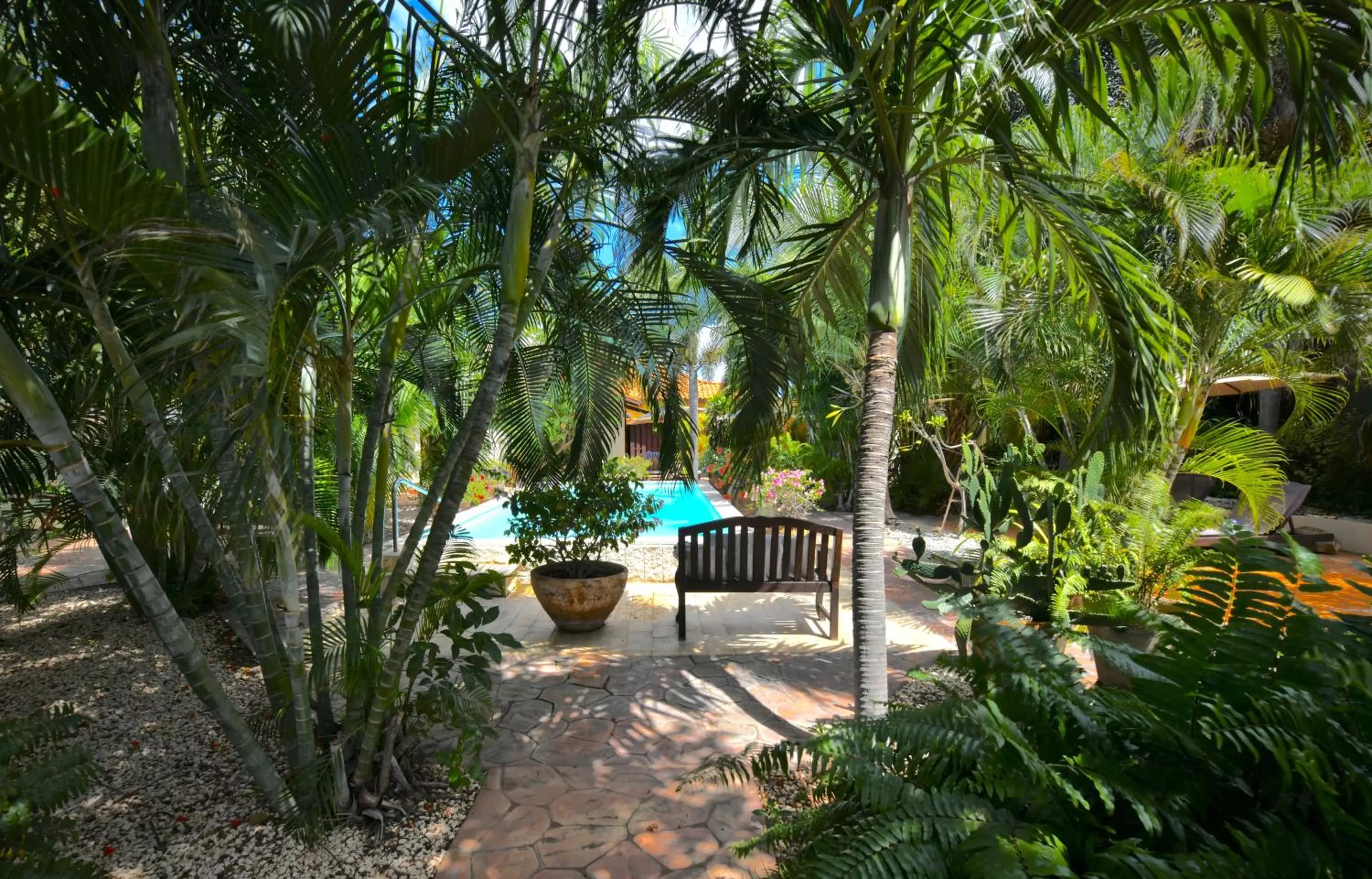 Garden in Wonders Boutique Hotel