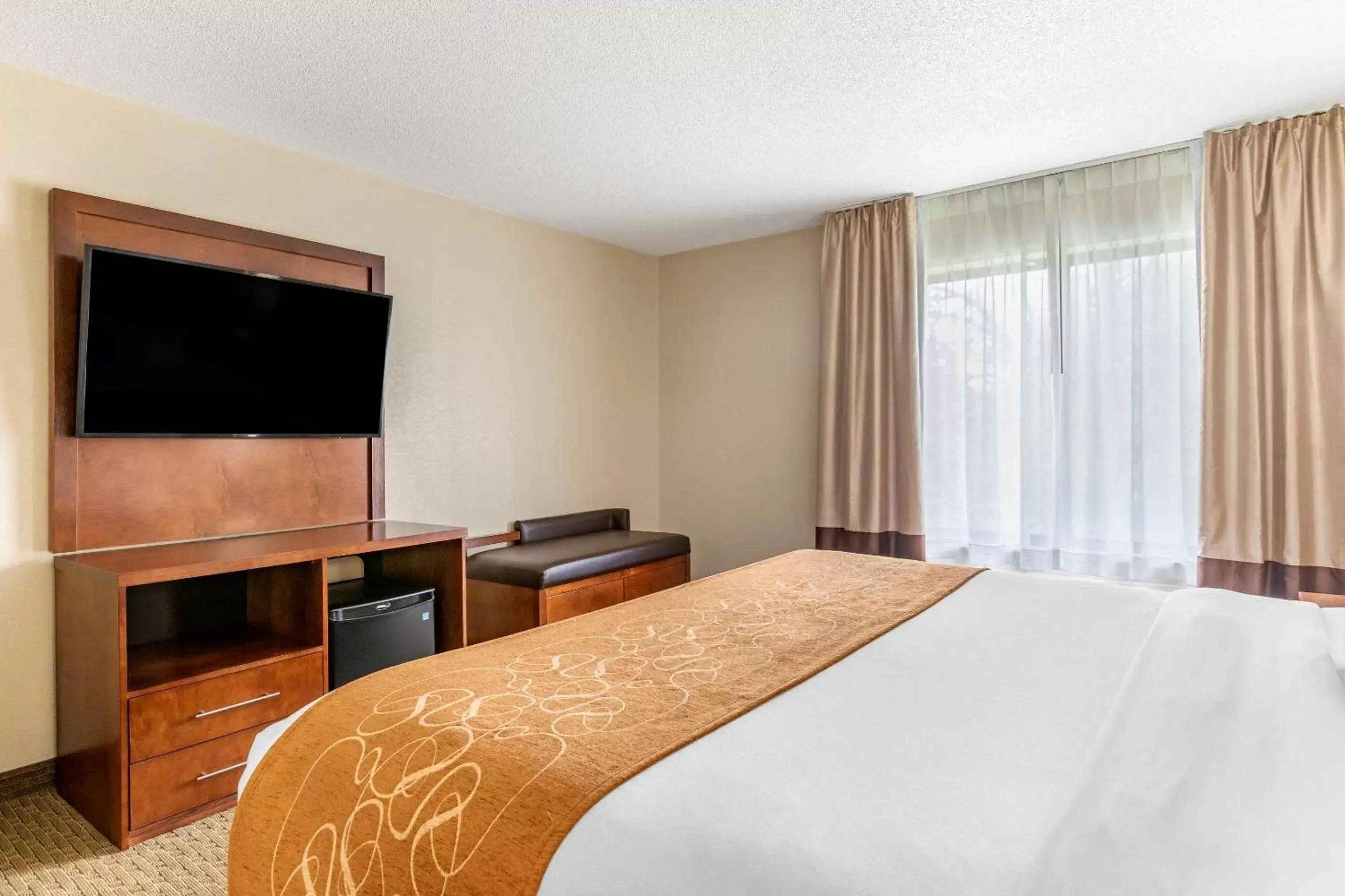 Photo of the whole room, Room Photo in Comfort Suites Grand Rapids North