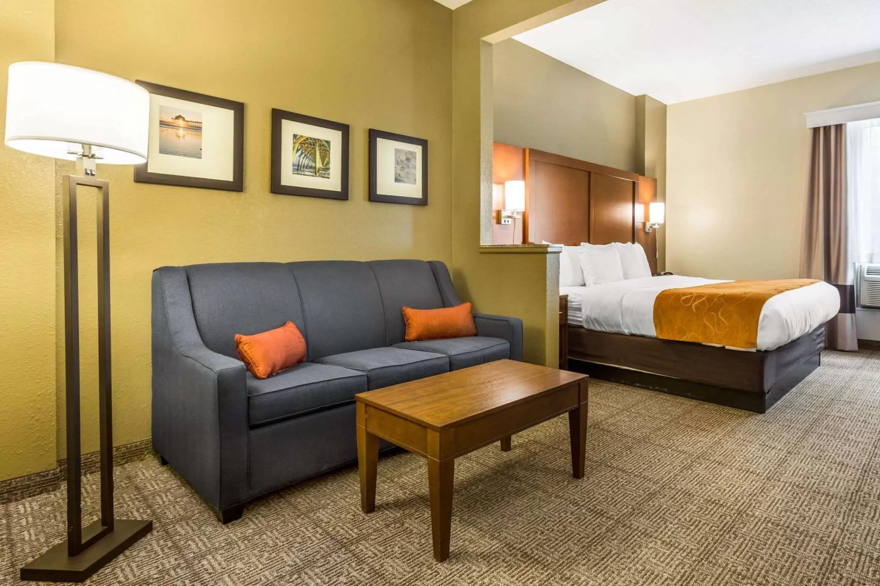 Photo of the whole room in Comfort Suites At the University