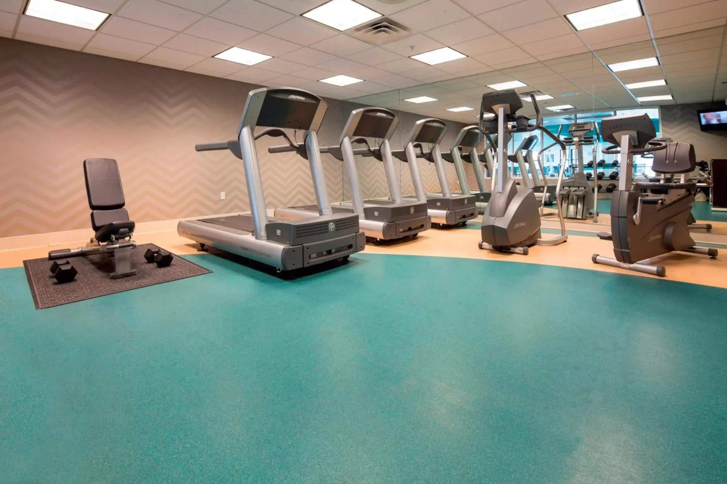 Fitness centre/facilities, Fitness Center/Facilities in Residence Inn Dover