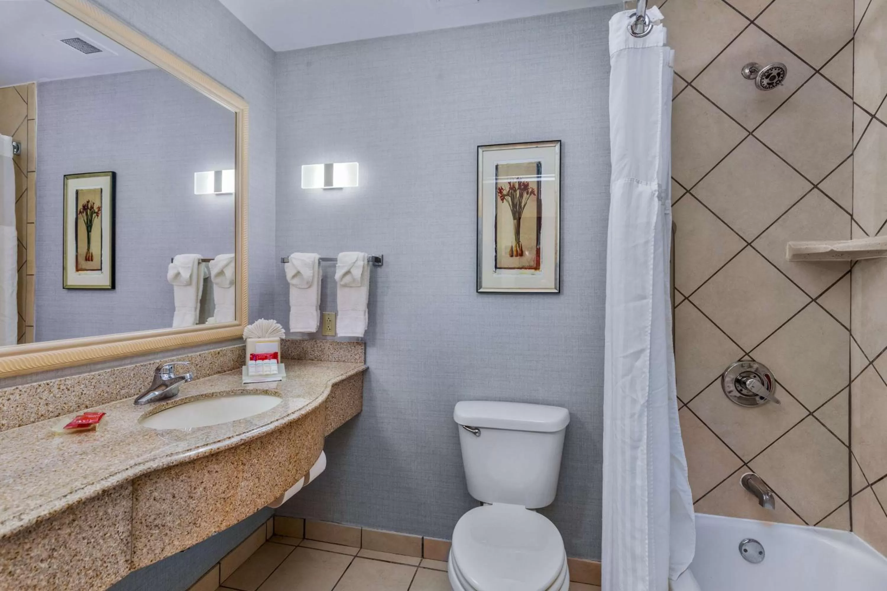 Bathroom in Hilton Garden Inn Starkville