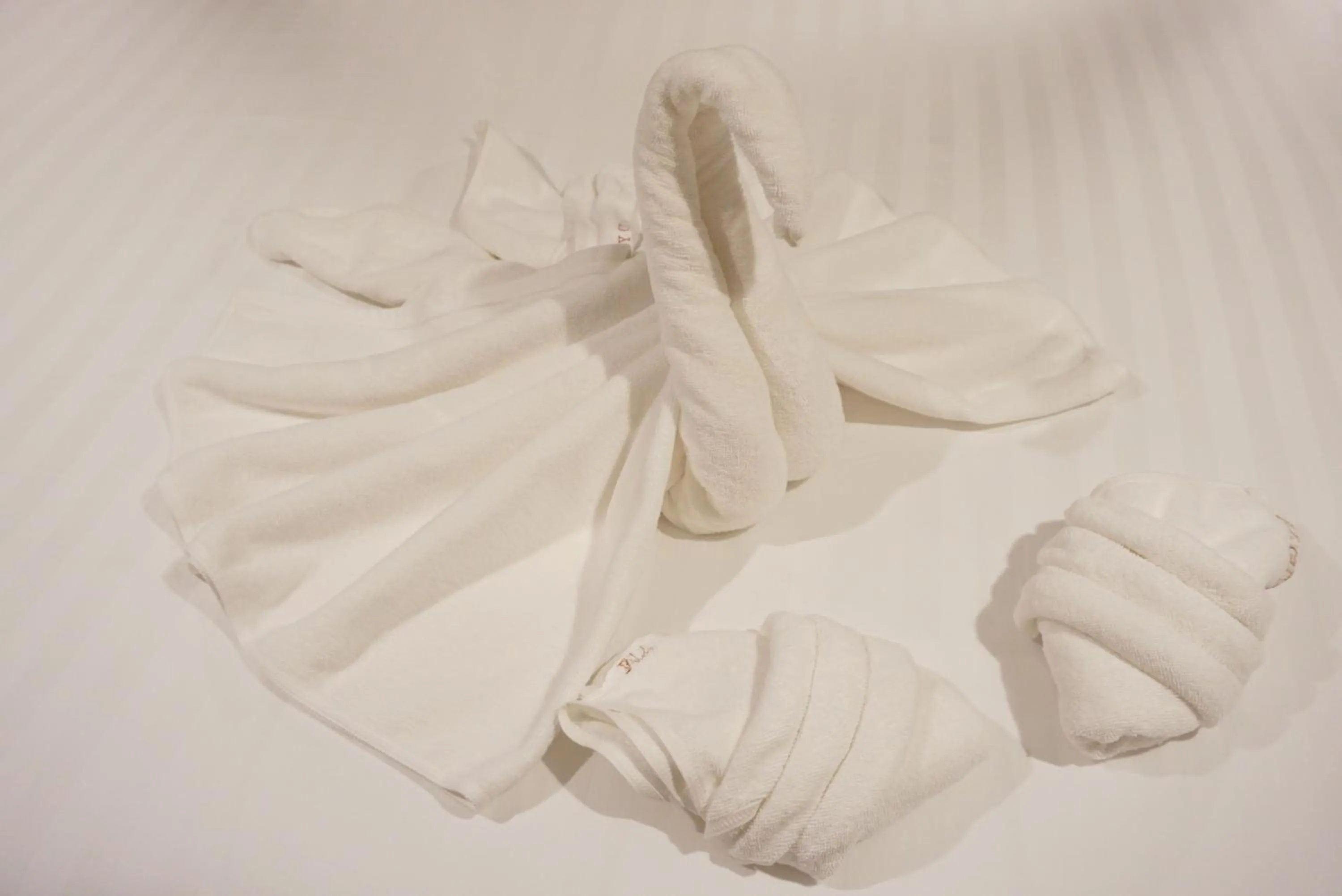 Other in My Chiangmai Boutique Lodge