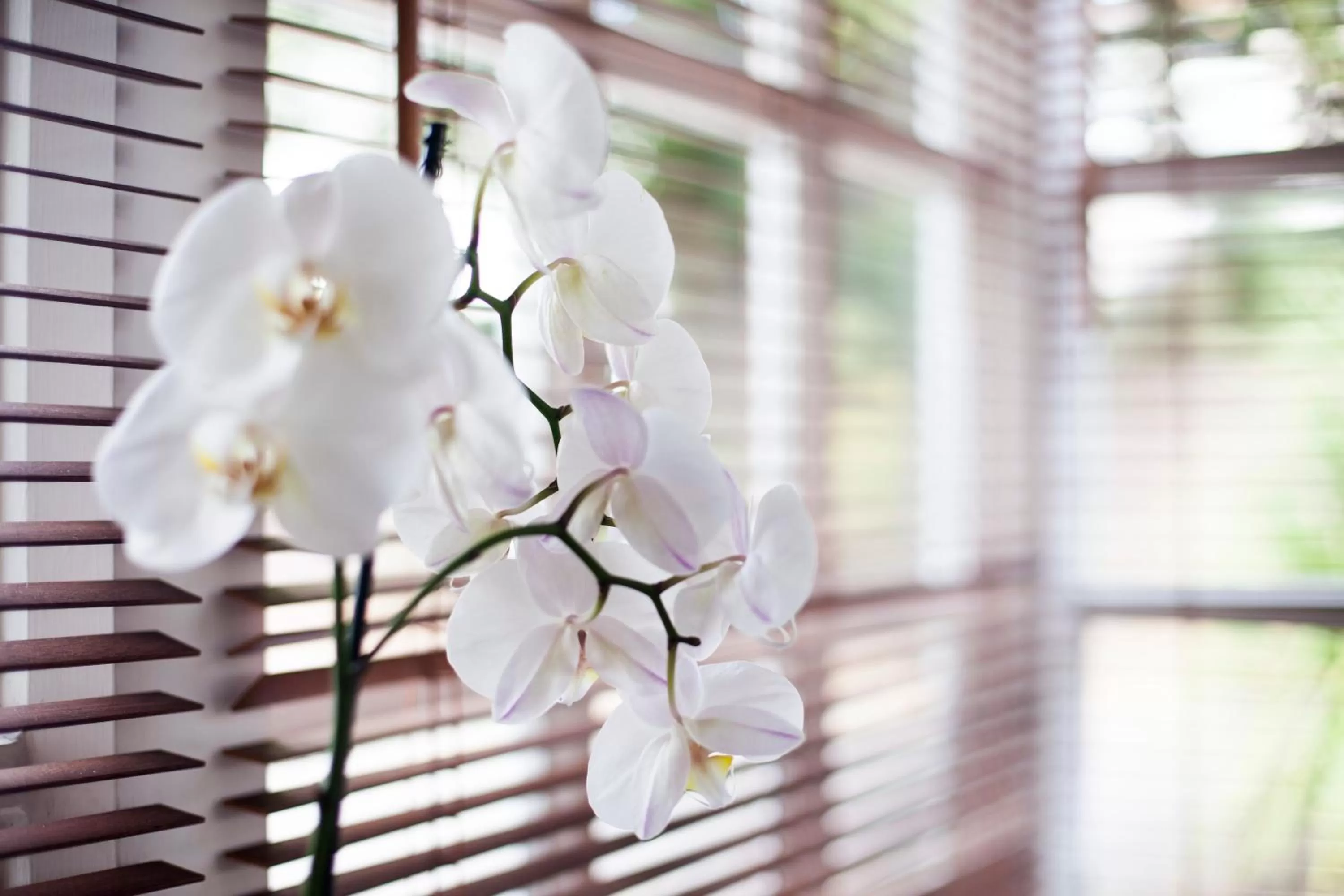 Lobby or reception in Carlton Court