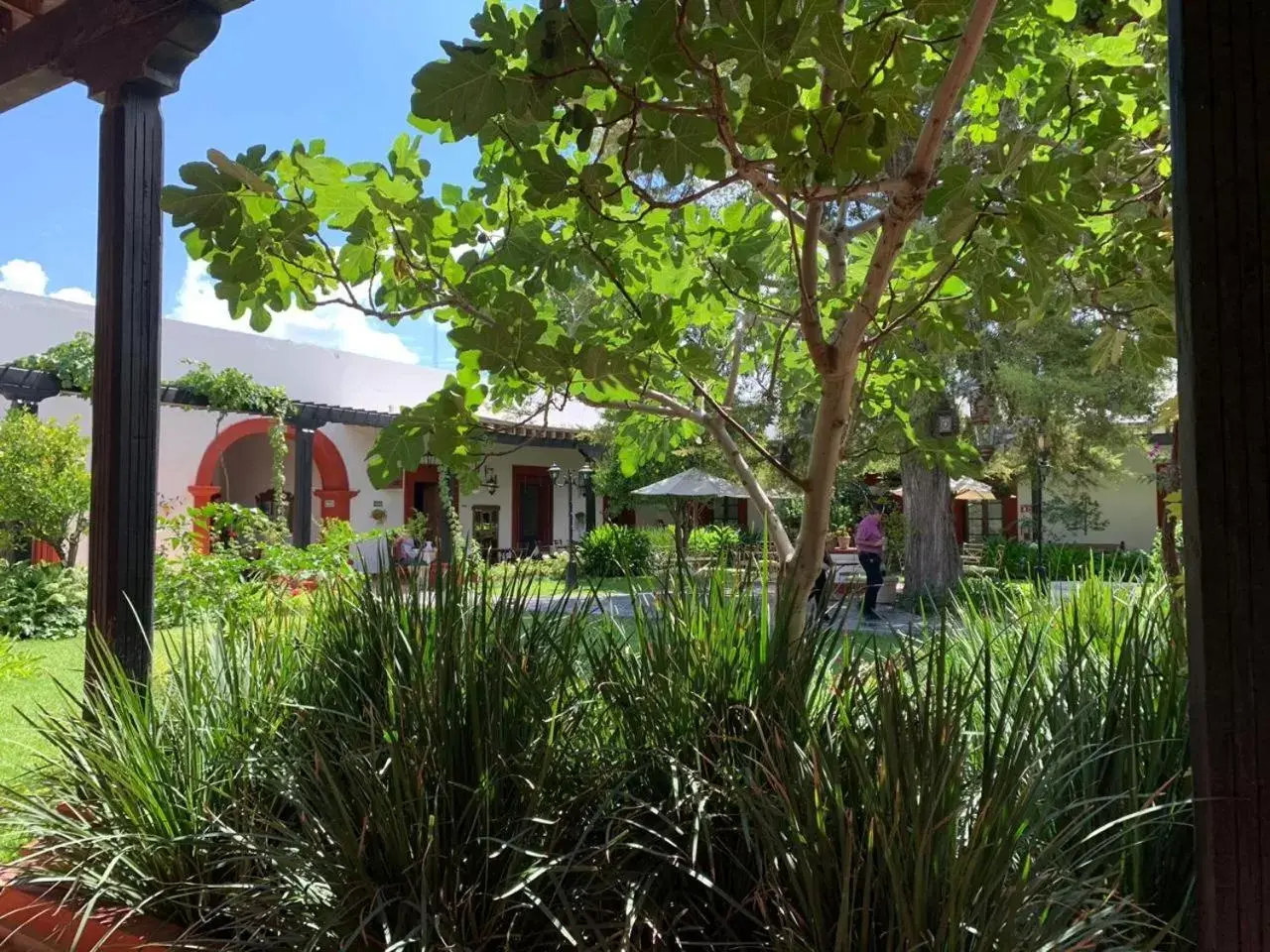 Garden, Property Building in Hotel El Farol