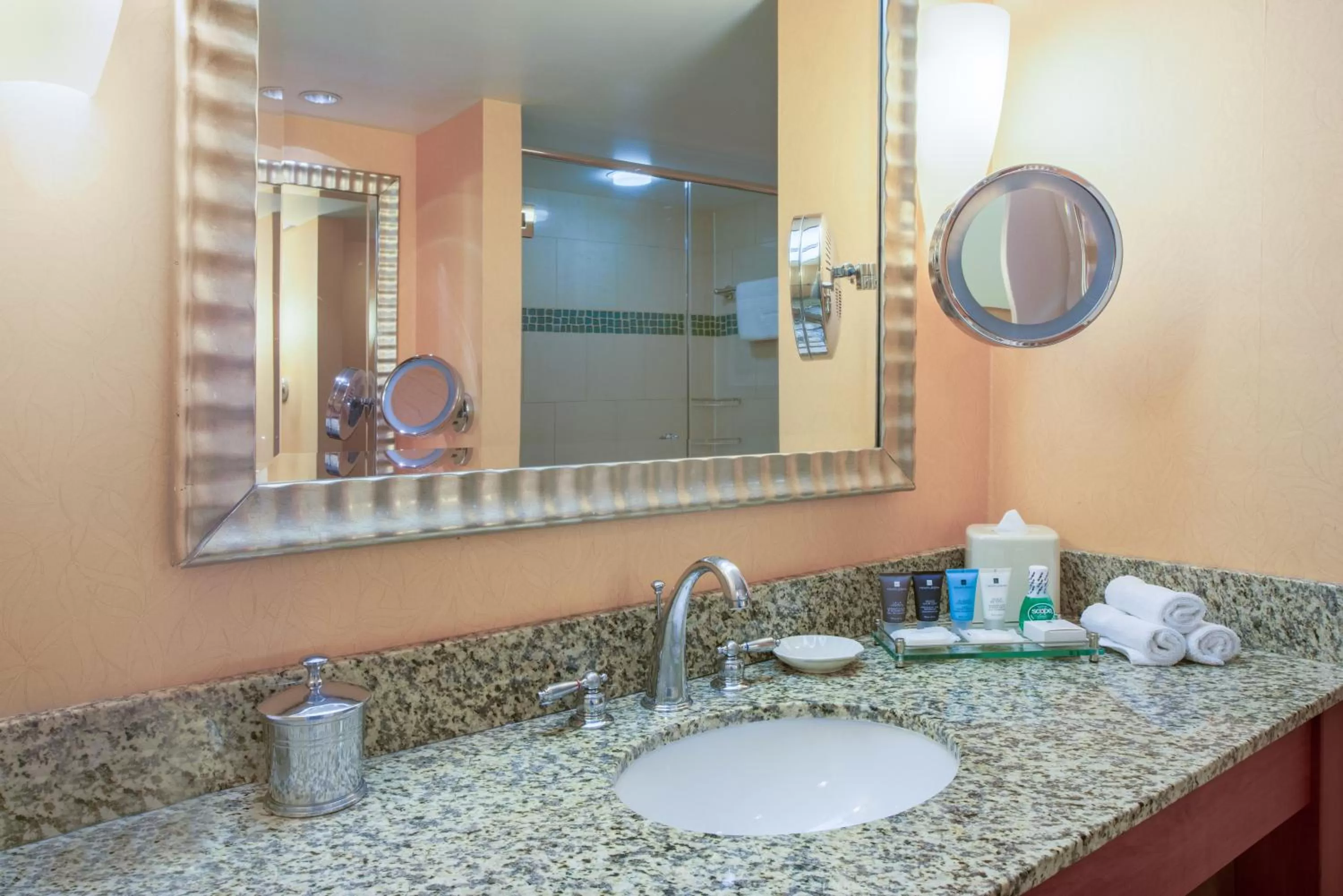 Bathroom in Crowne Plaza Dulles Airport by IHG