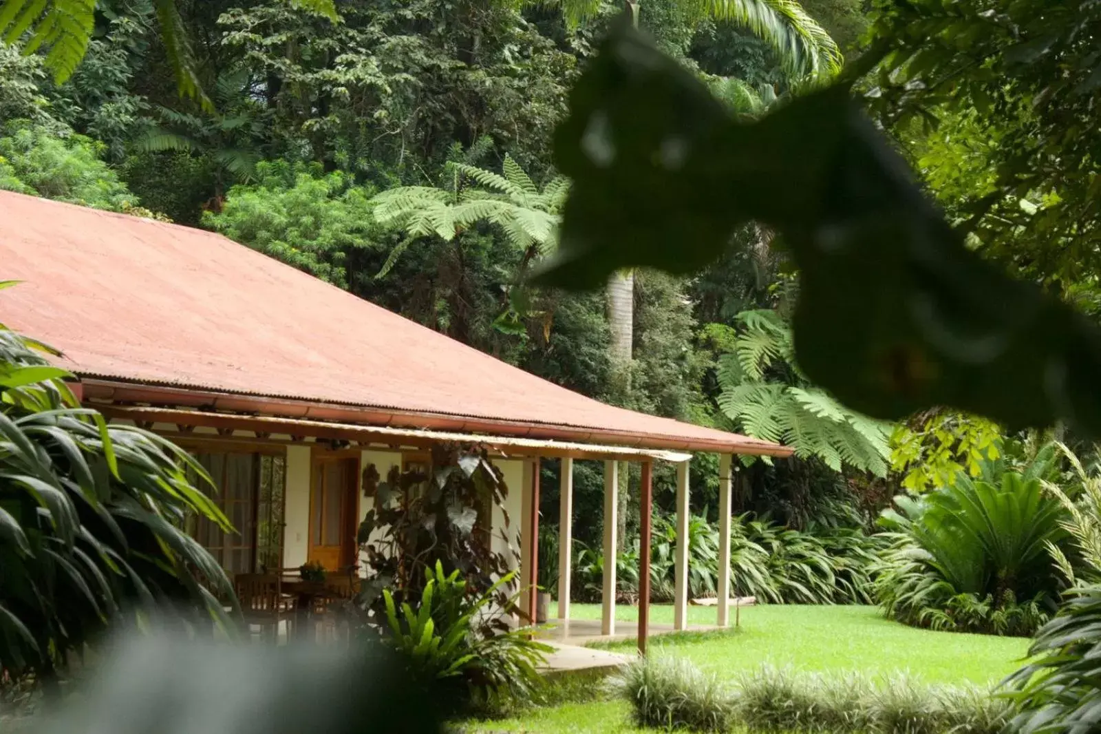 Natural landscape, Garden in Argovia Finca Resort