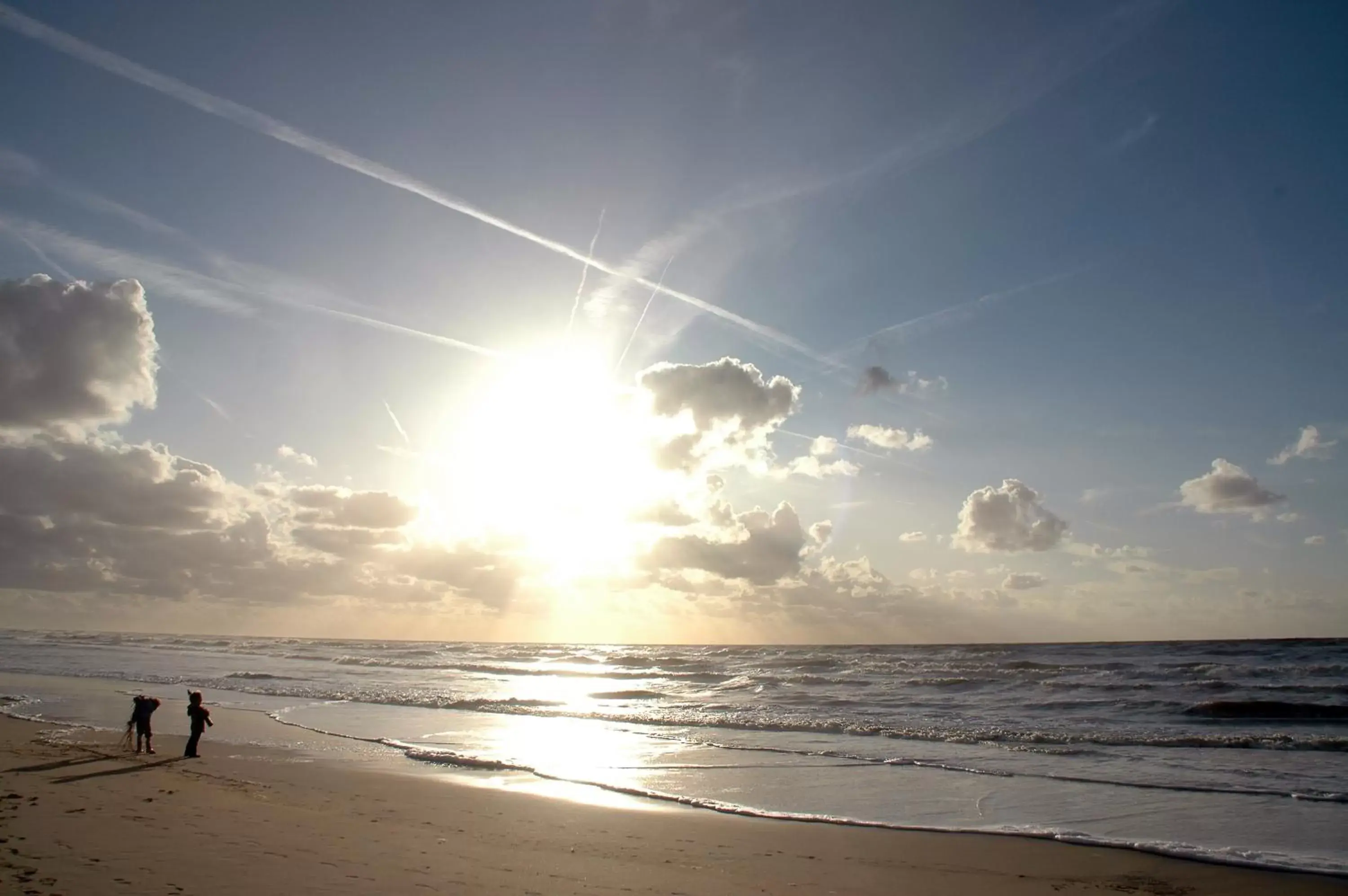 Natural landscape, Beach in ibis Styles Haarlem City