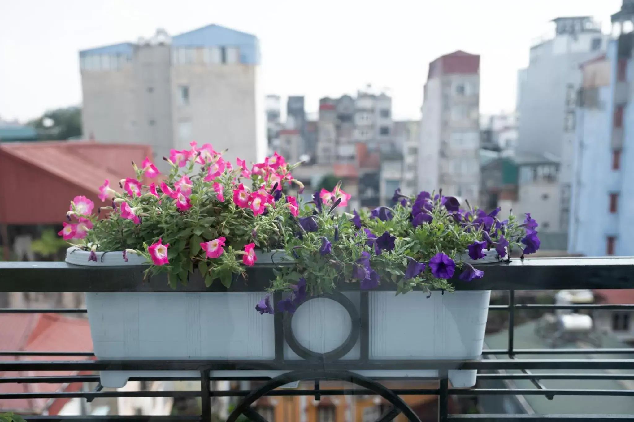 Balcony/Terrace in Golden Legend Diamond Hotel