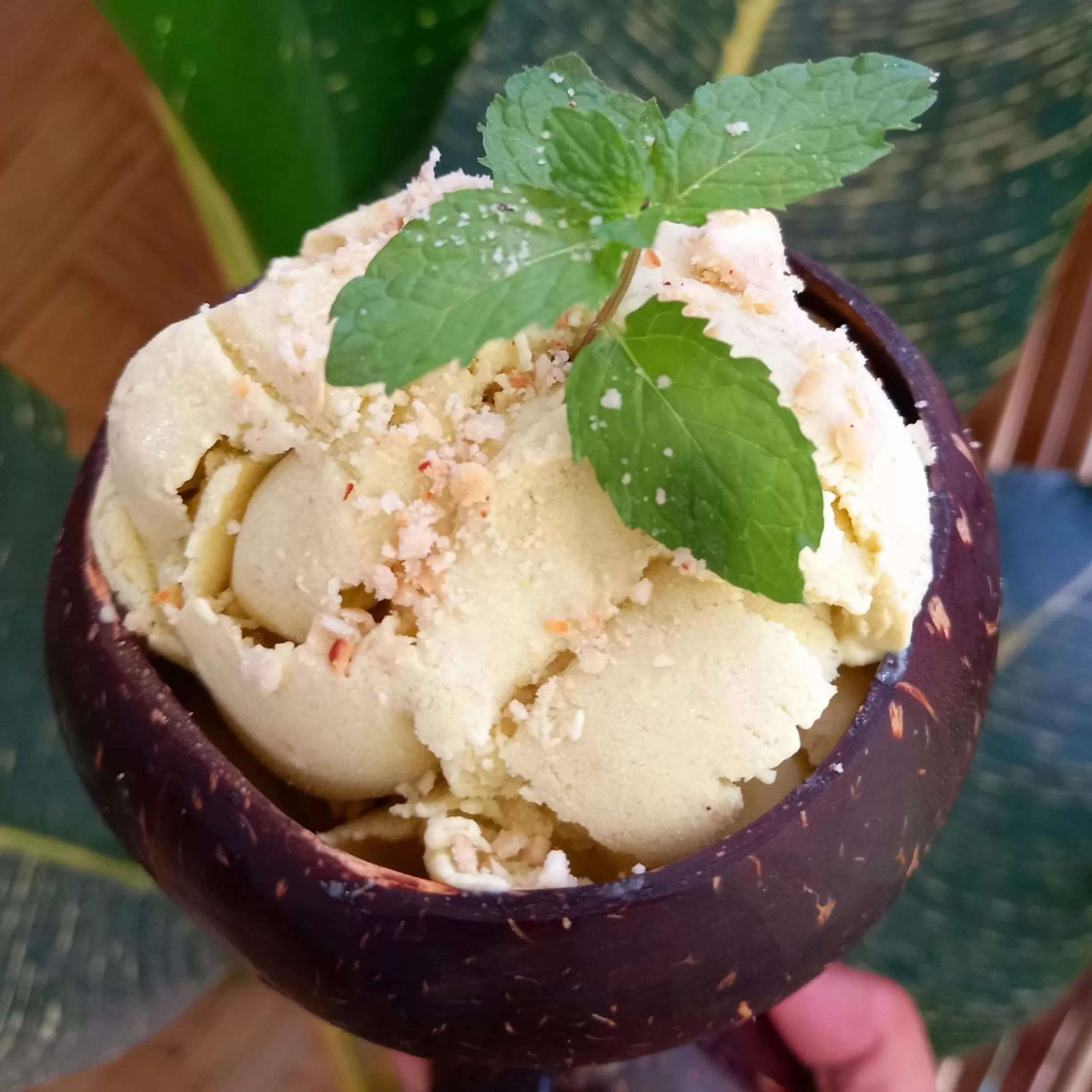 Banana Grove El Nido