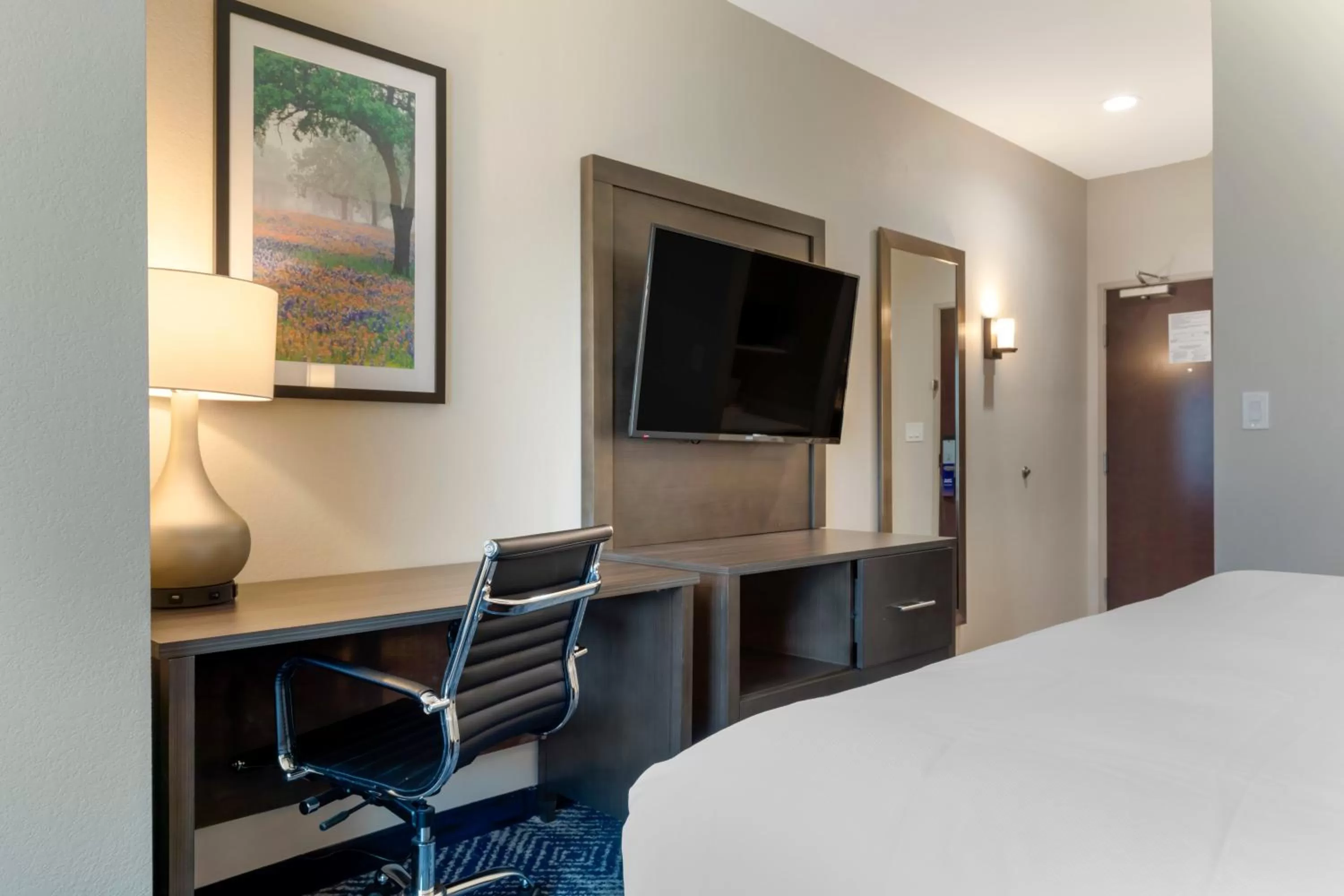 TV and multimedia, Bed in Comfort Inn & Suites Balch Springs - SE Dallas