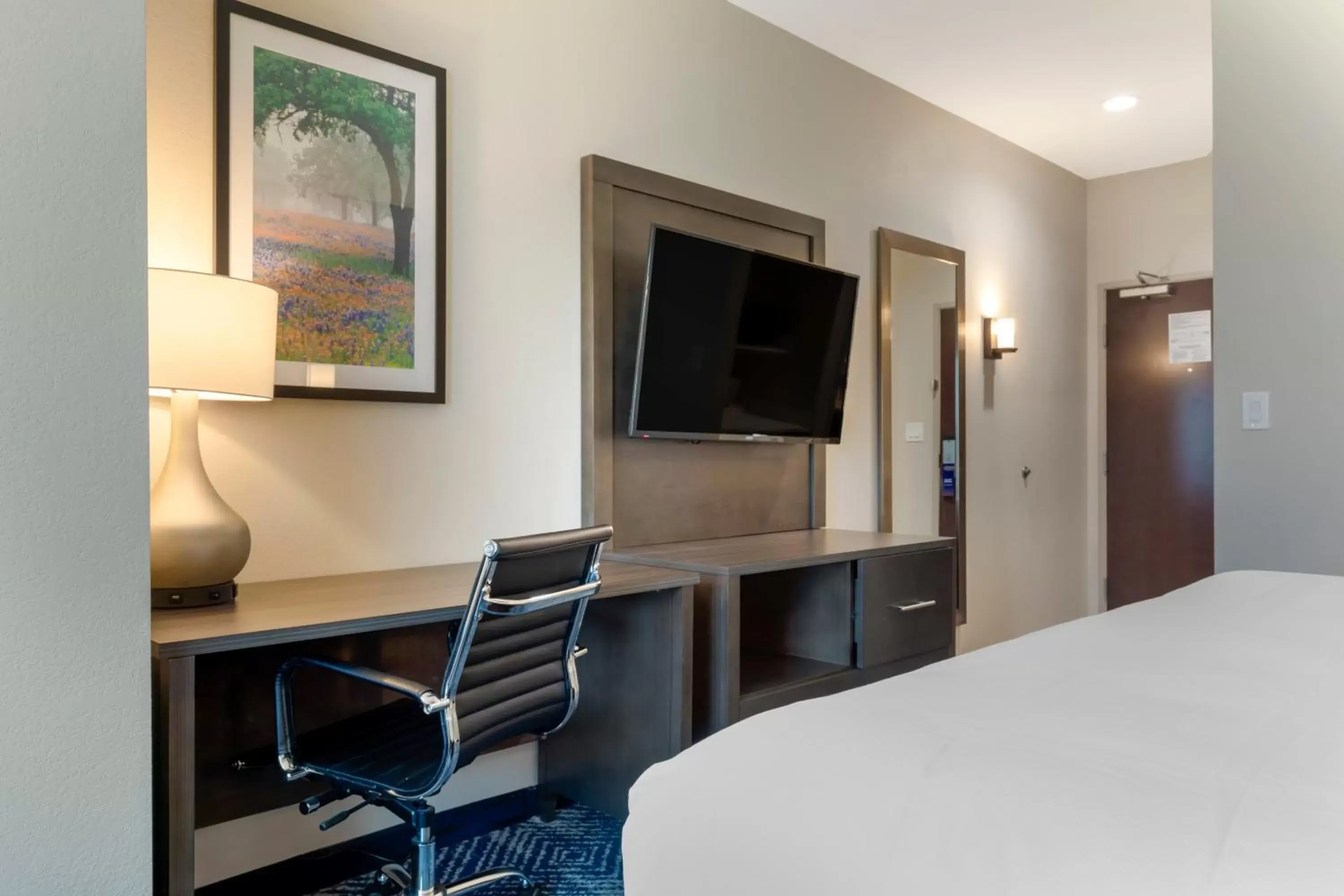 TV and multimedia, TV/Entertainment Center in Comfort Inn & Suites Balch Springs - SE Dallas