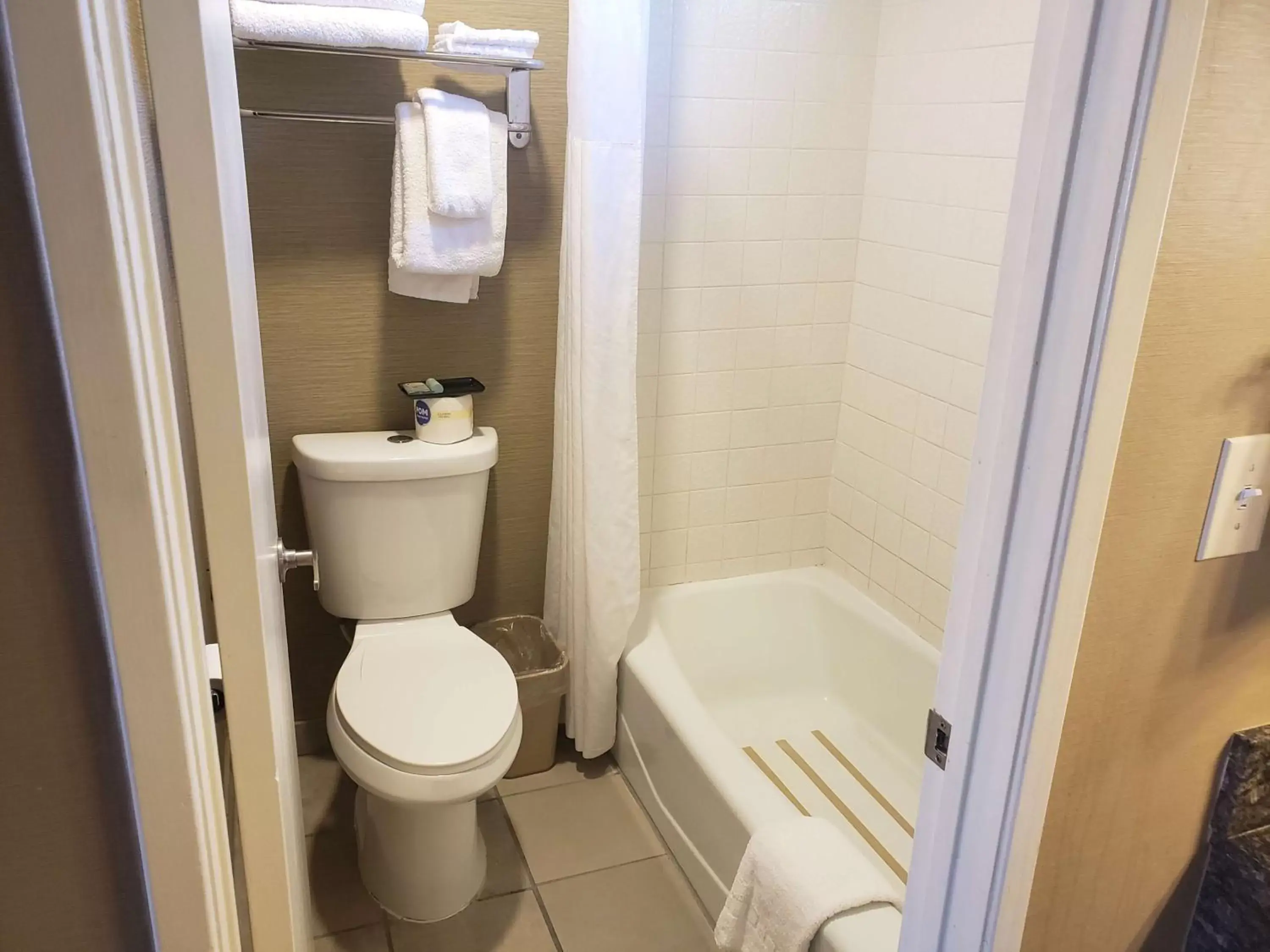 Bathroom in Best Western La Posada Motel