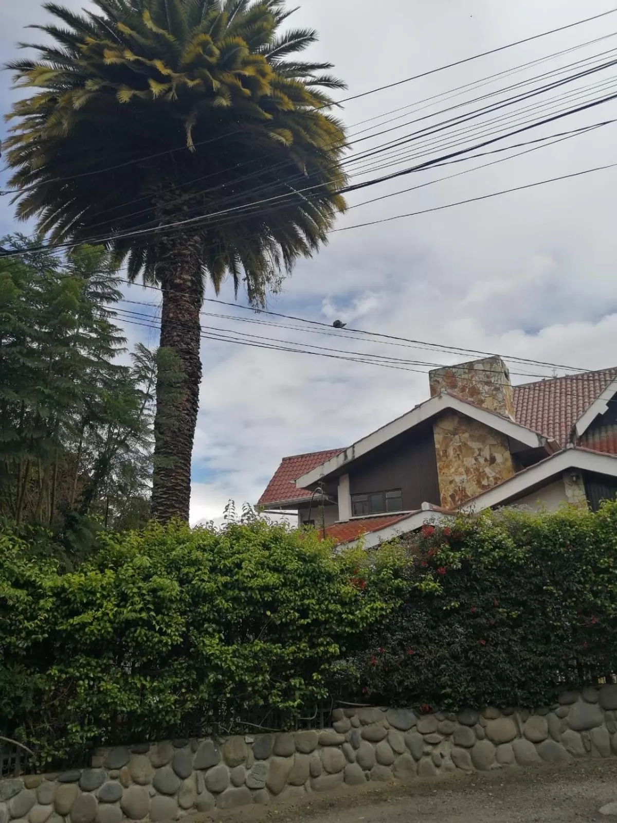 Property building in Casatodosantos