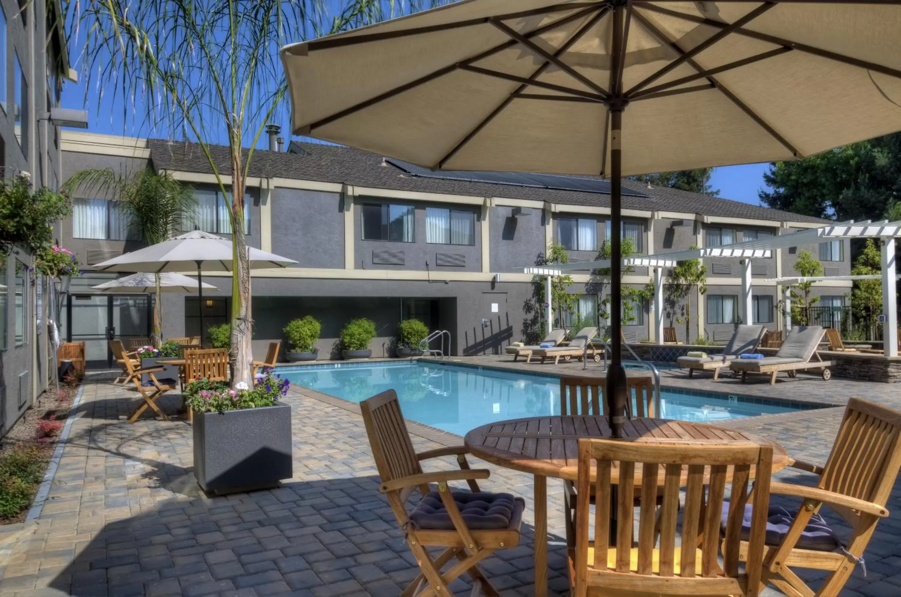 Spring, Swimming Pool in Maple Tree Inn