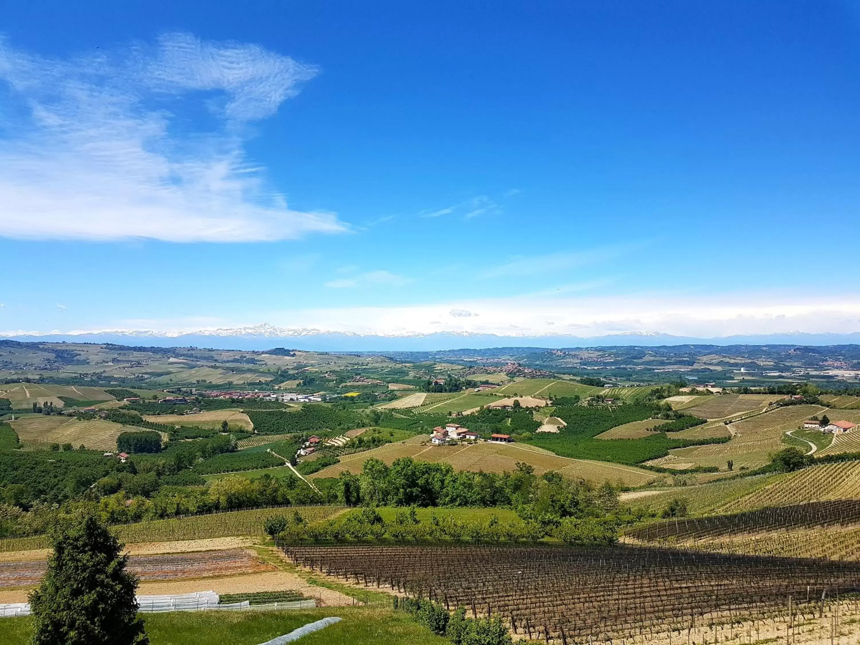 Mountain view, Bird's-eye View in Villa Bellavista Alba, B&B