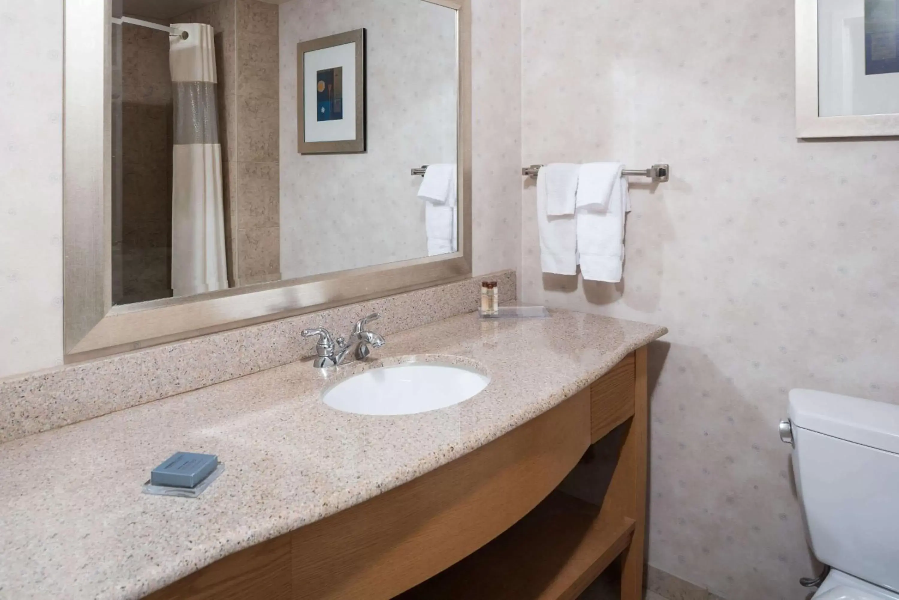 Bathroom in Wingate by Wyndham Spokane Airport