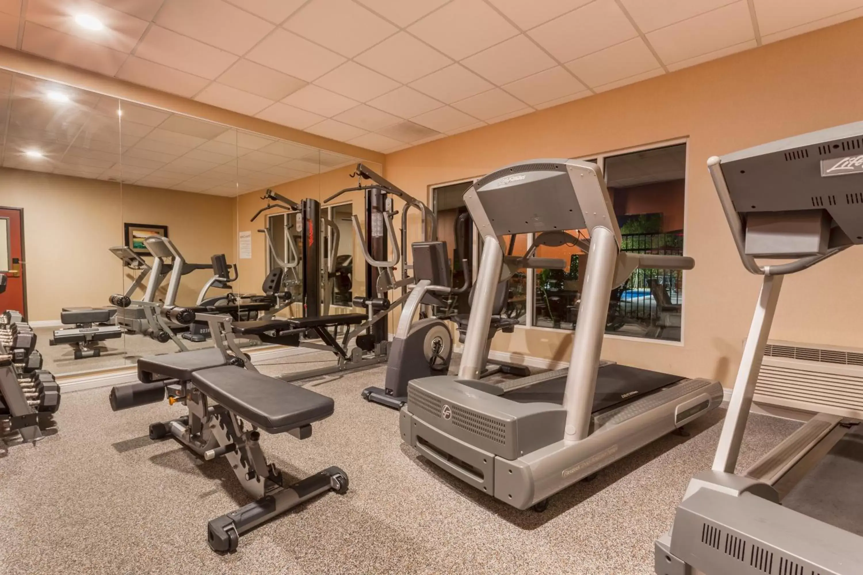 Fitness centre/facilities, Fitness Center/Facilities in Holiday Inn Express Hotel & Suites Manteca, an IHG Hotel