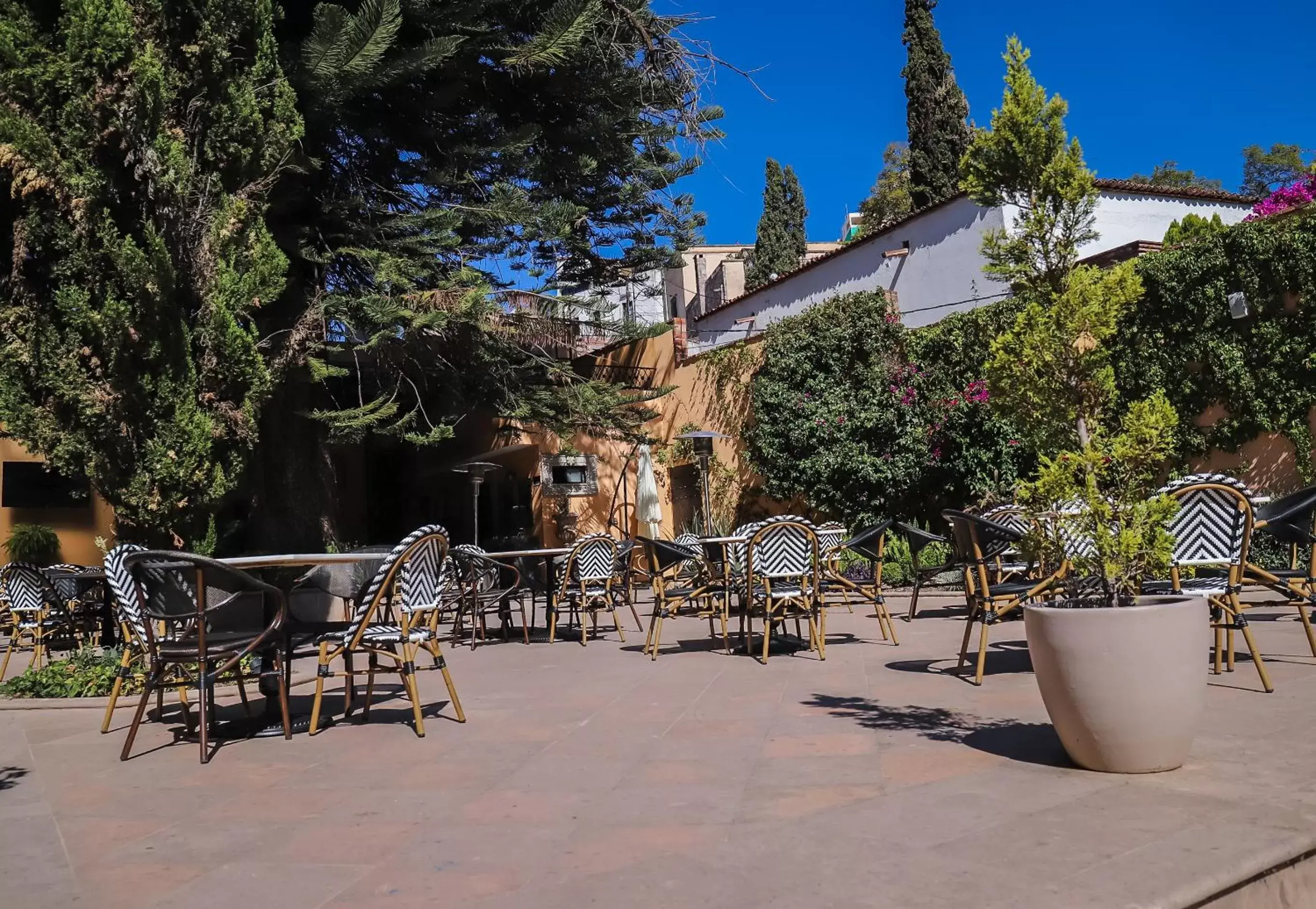 Day, Patio/Outdoor Area in Hotel Boutique Corazón Mexicano