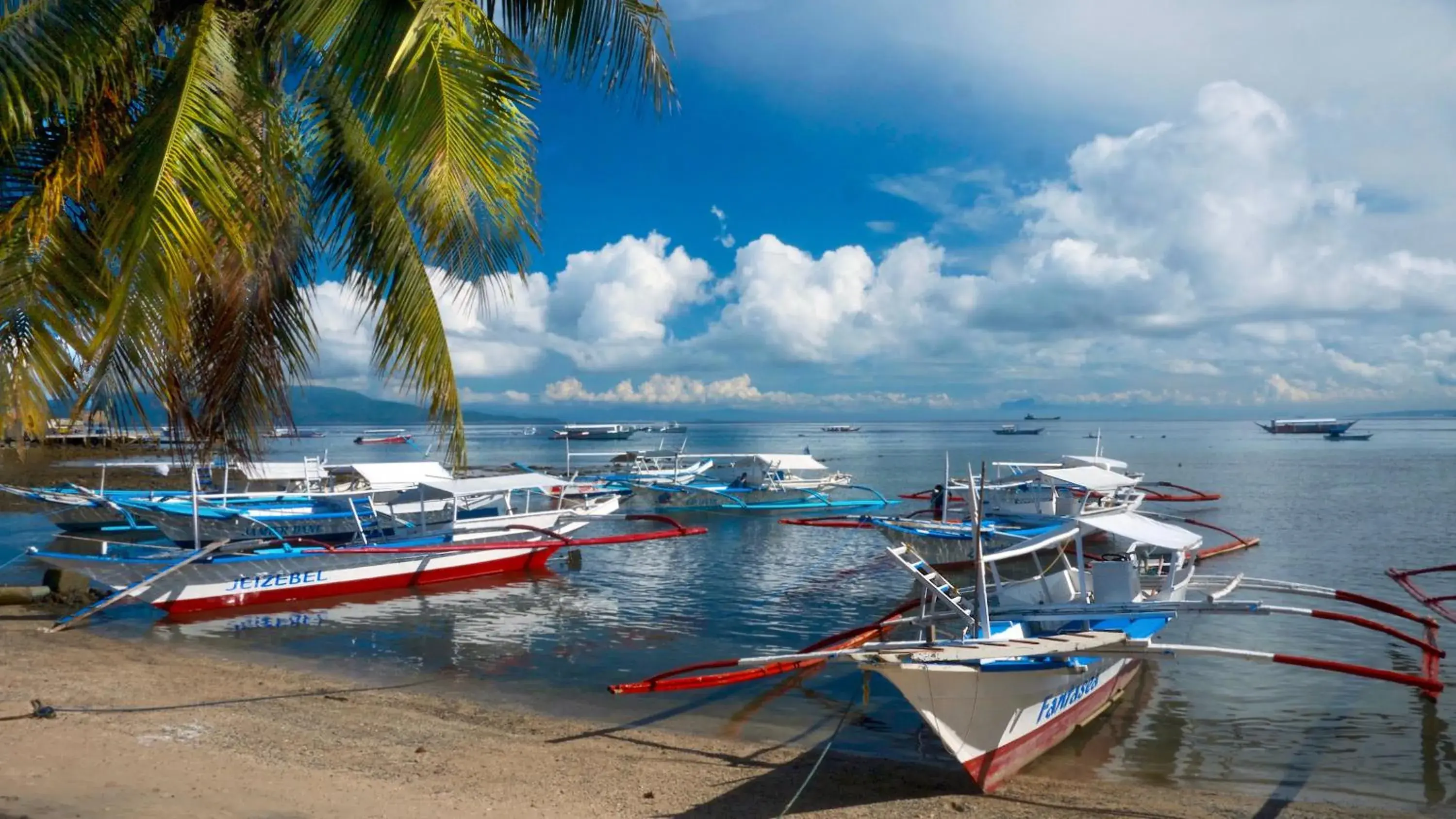 Snorkeling, Beach in Atlantis Dive Resort Puerto Galera