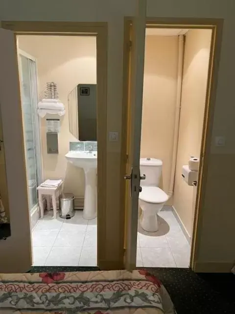 Toilet, Bathroom in Hôtel de France Contres-Beauval-Cheverny