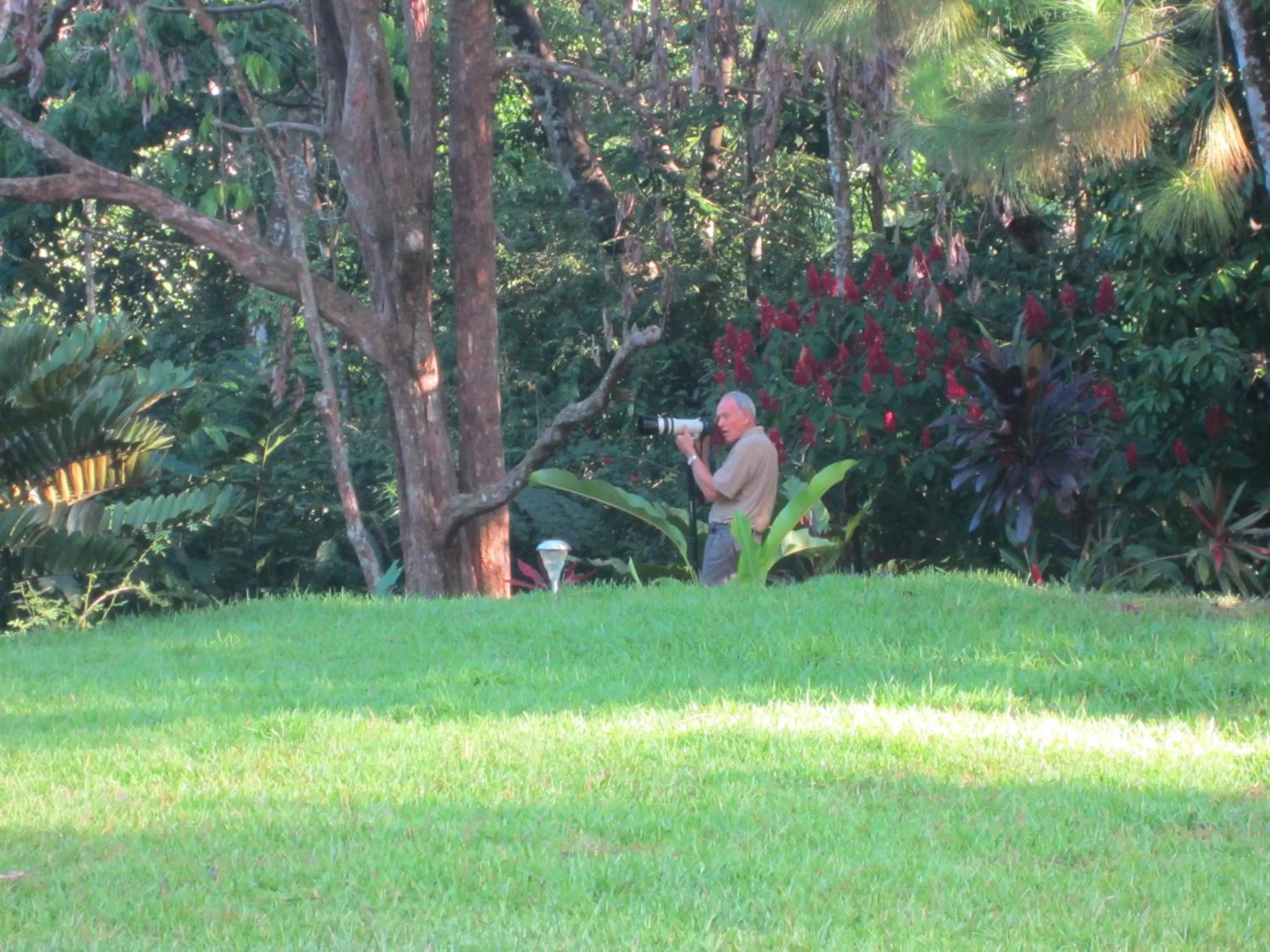 Garden in La Purruja Lodge