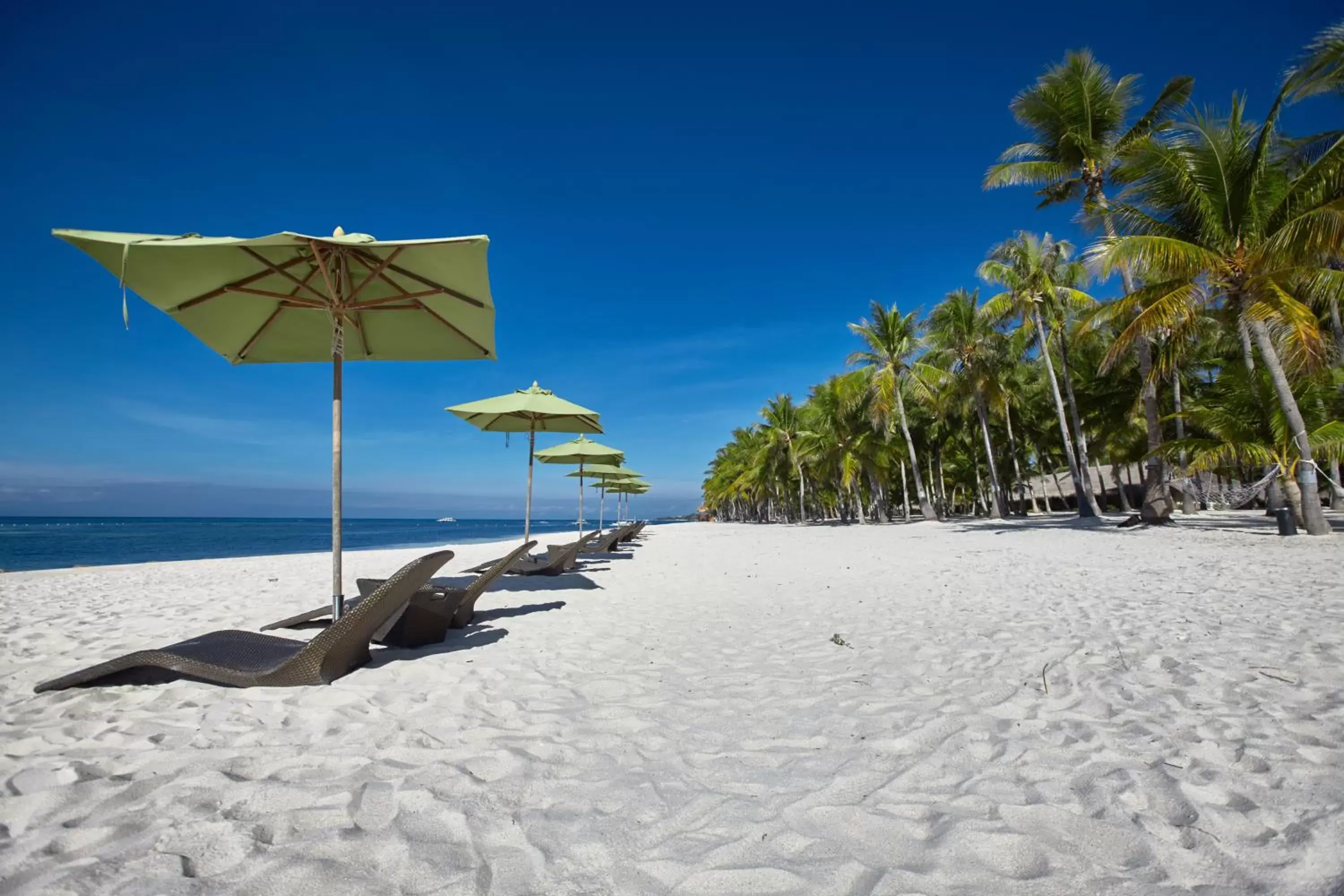 Property building, Beach in South Palms Resort Panglao