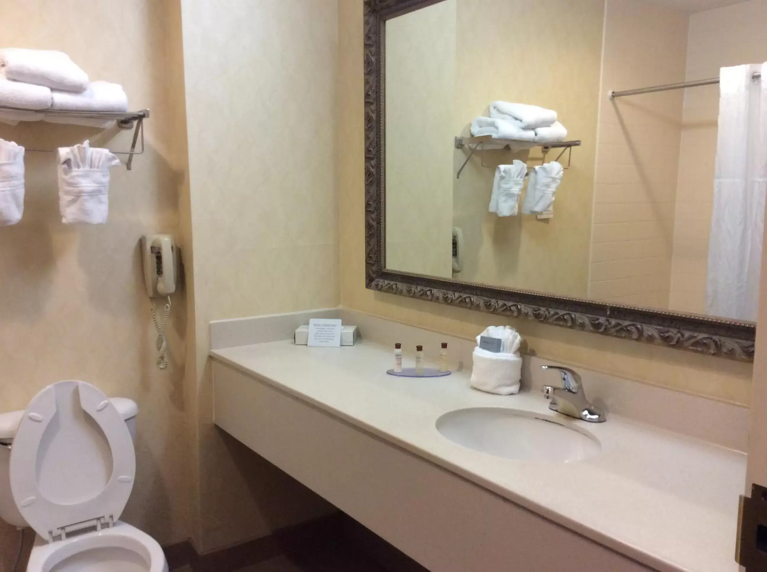 Bathroom in Wingate by Wyndham High Point