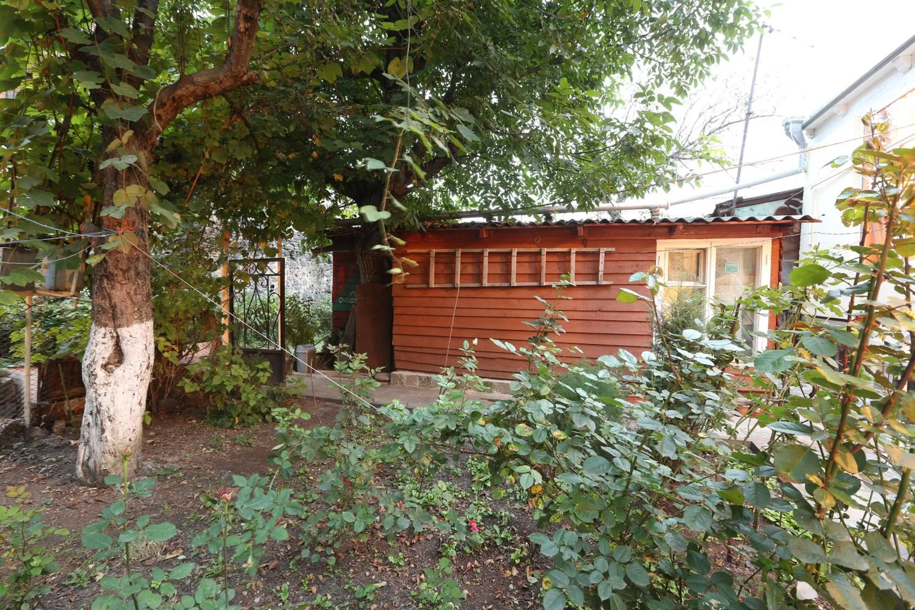 Facade/entrance in Ruzanna's Bed & Breakfast