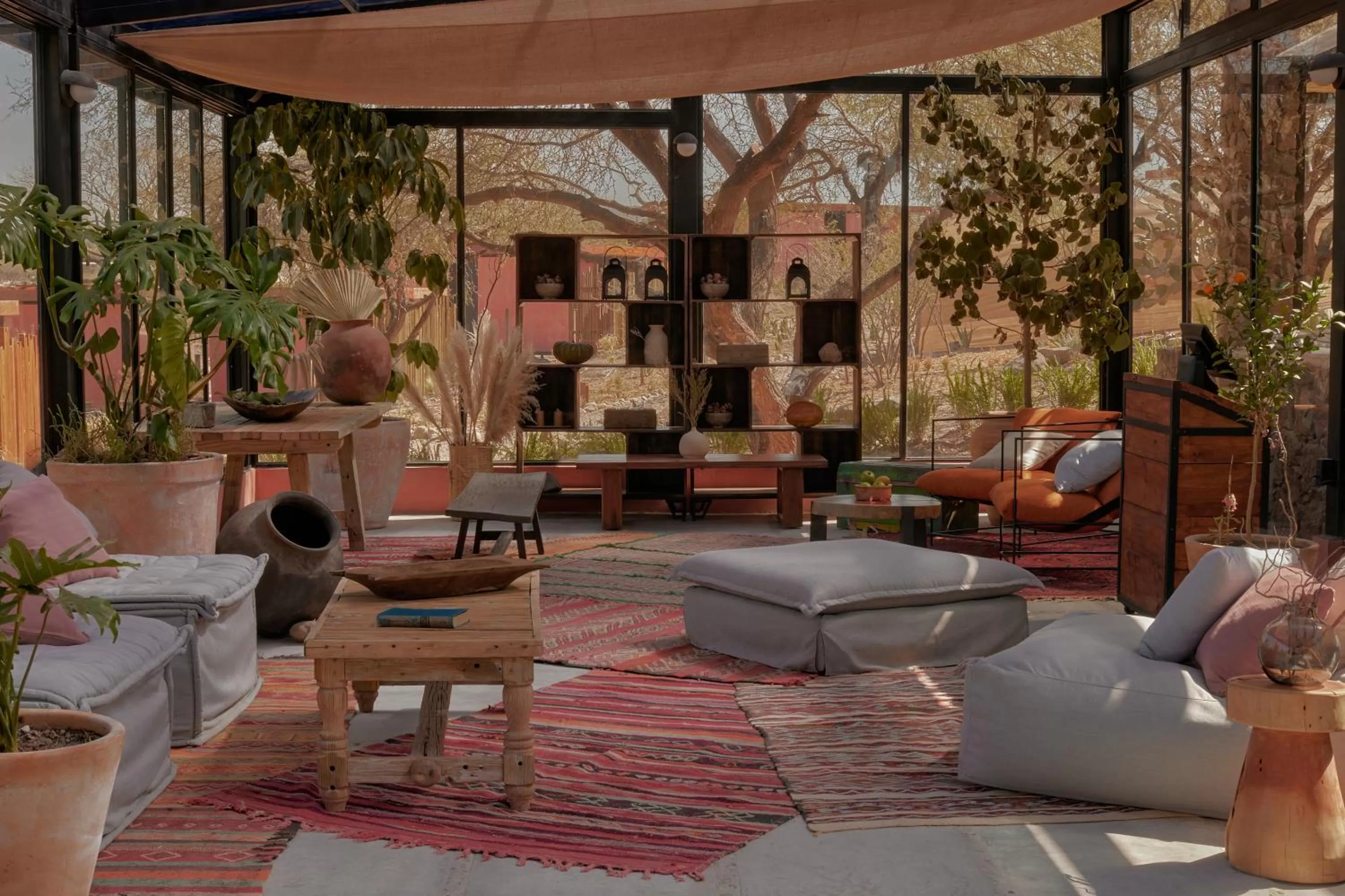 Day in Our Habitas San Miguel de Allende