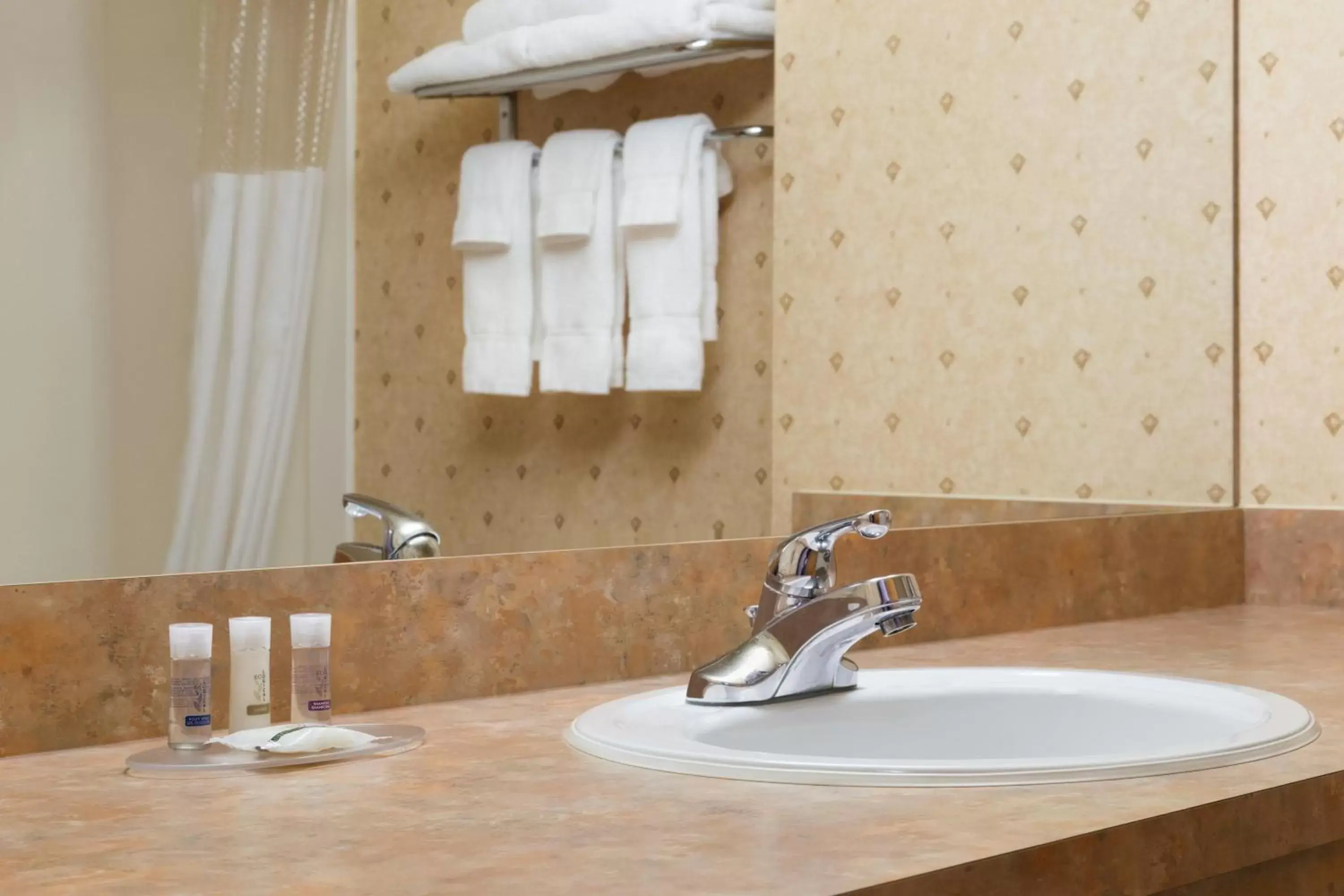 Shower, Bathroom in Days Inn & Suites by Wyndham Brooks