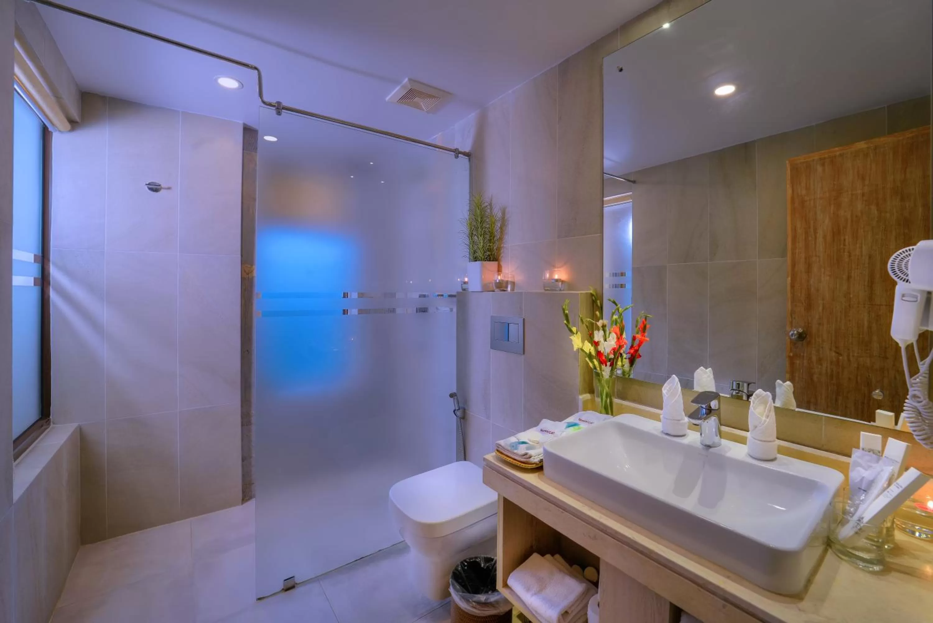 Toilet in Hotel Barahi Pokhara