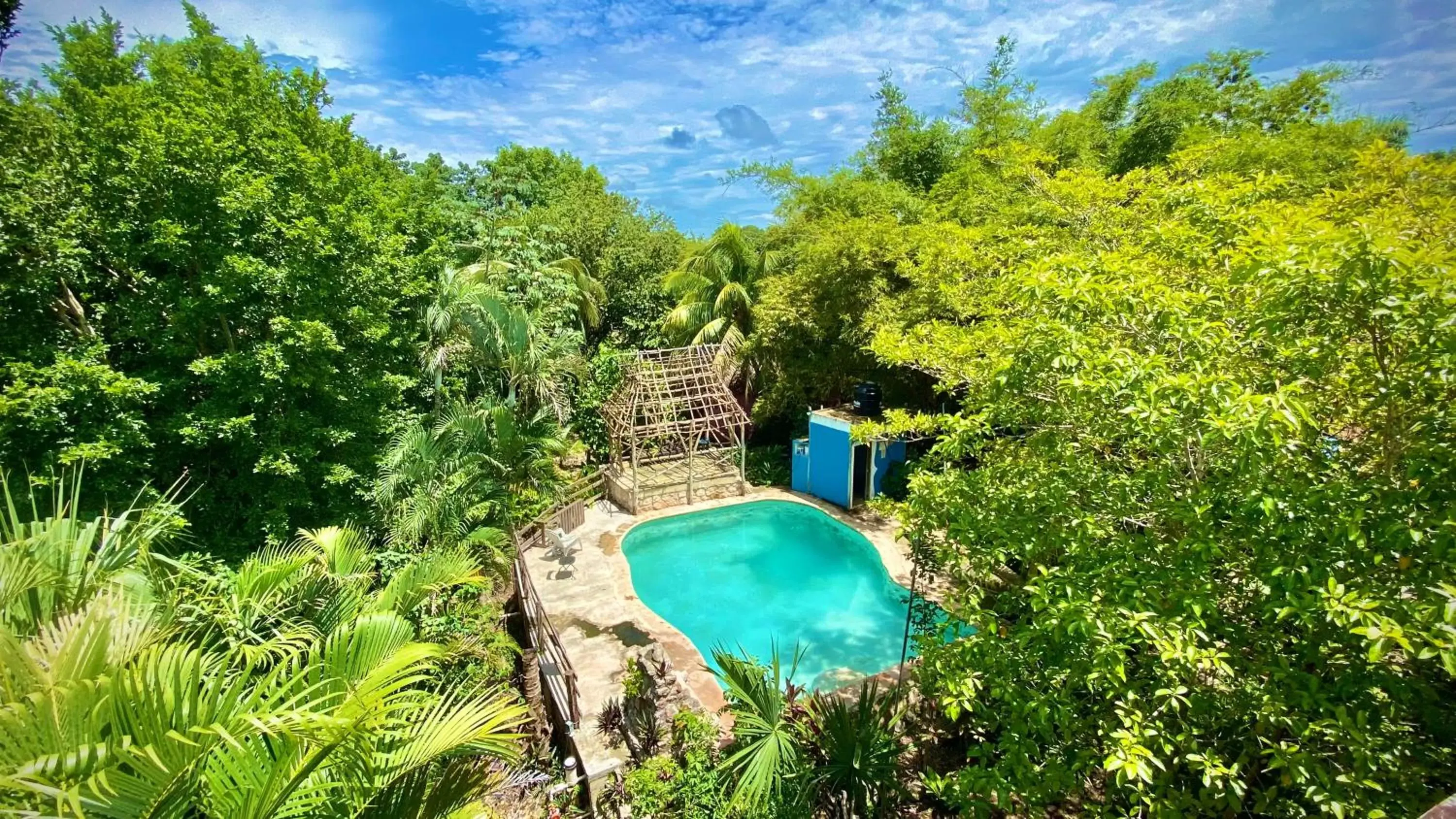 Swimming pool, Pool View in Gardenhotel Macan Ché B&B