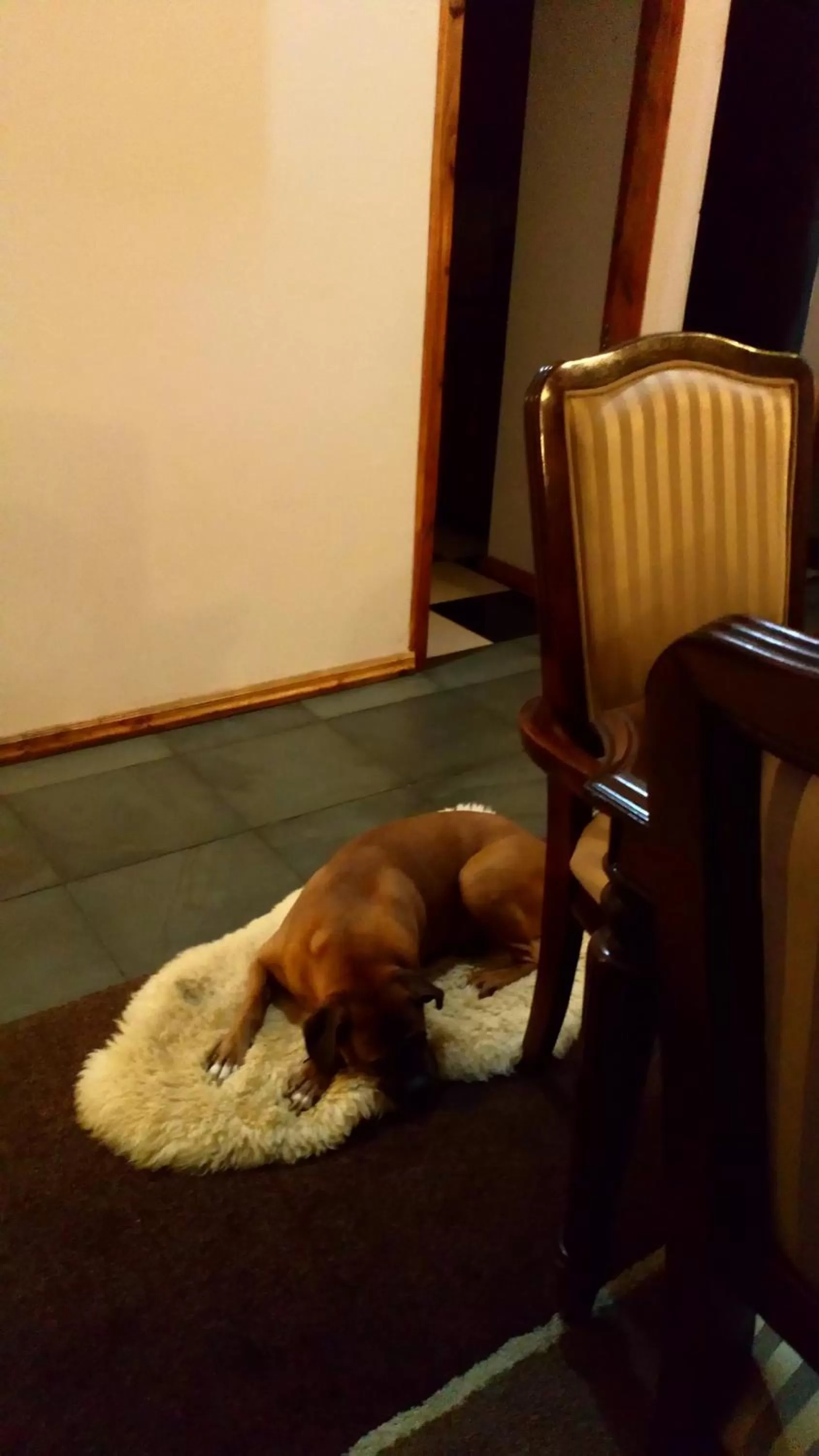 Hostal Parcela 47 villarrica