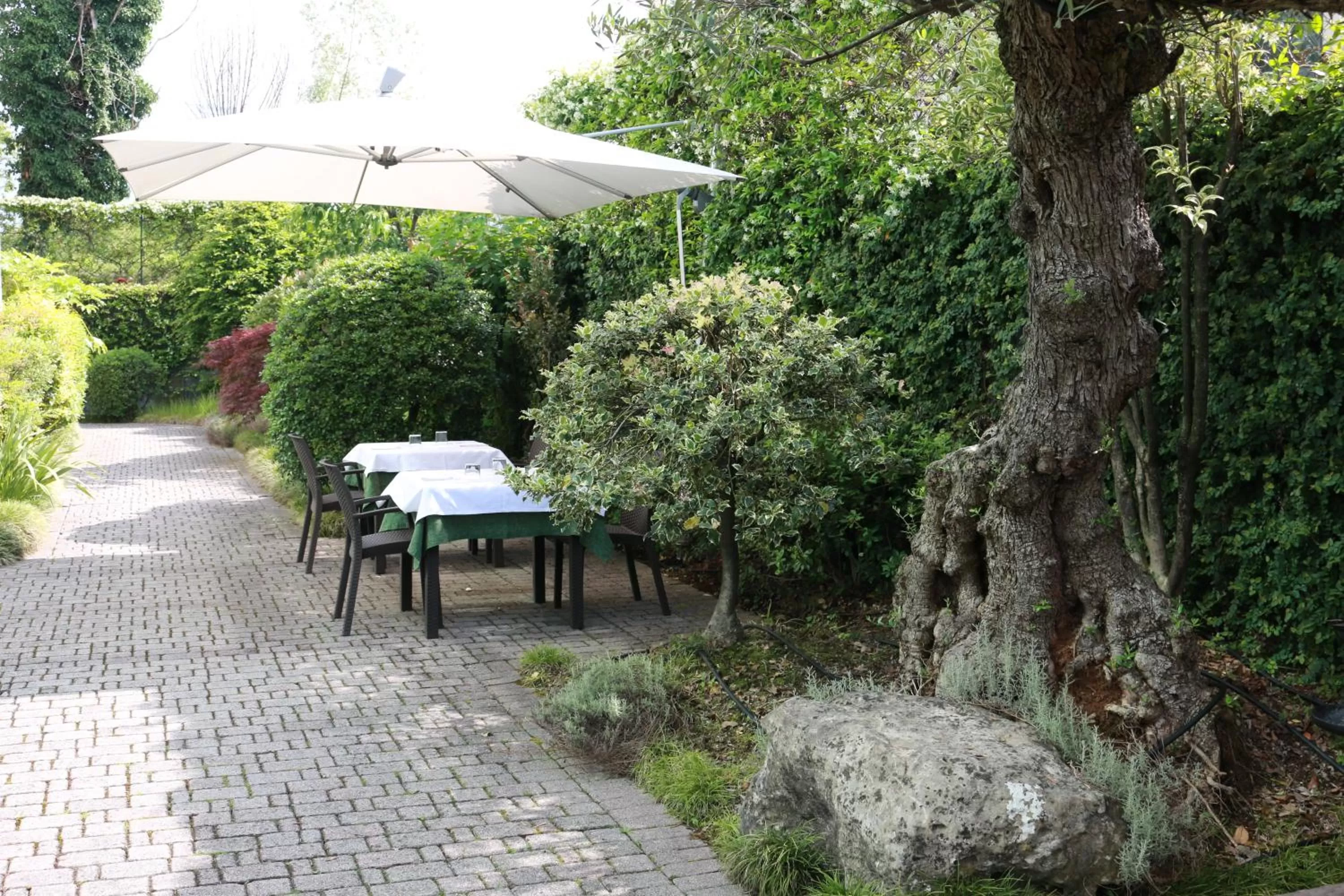 Garden in Hotel Kristal 3 Stelle Superior