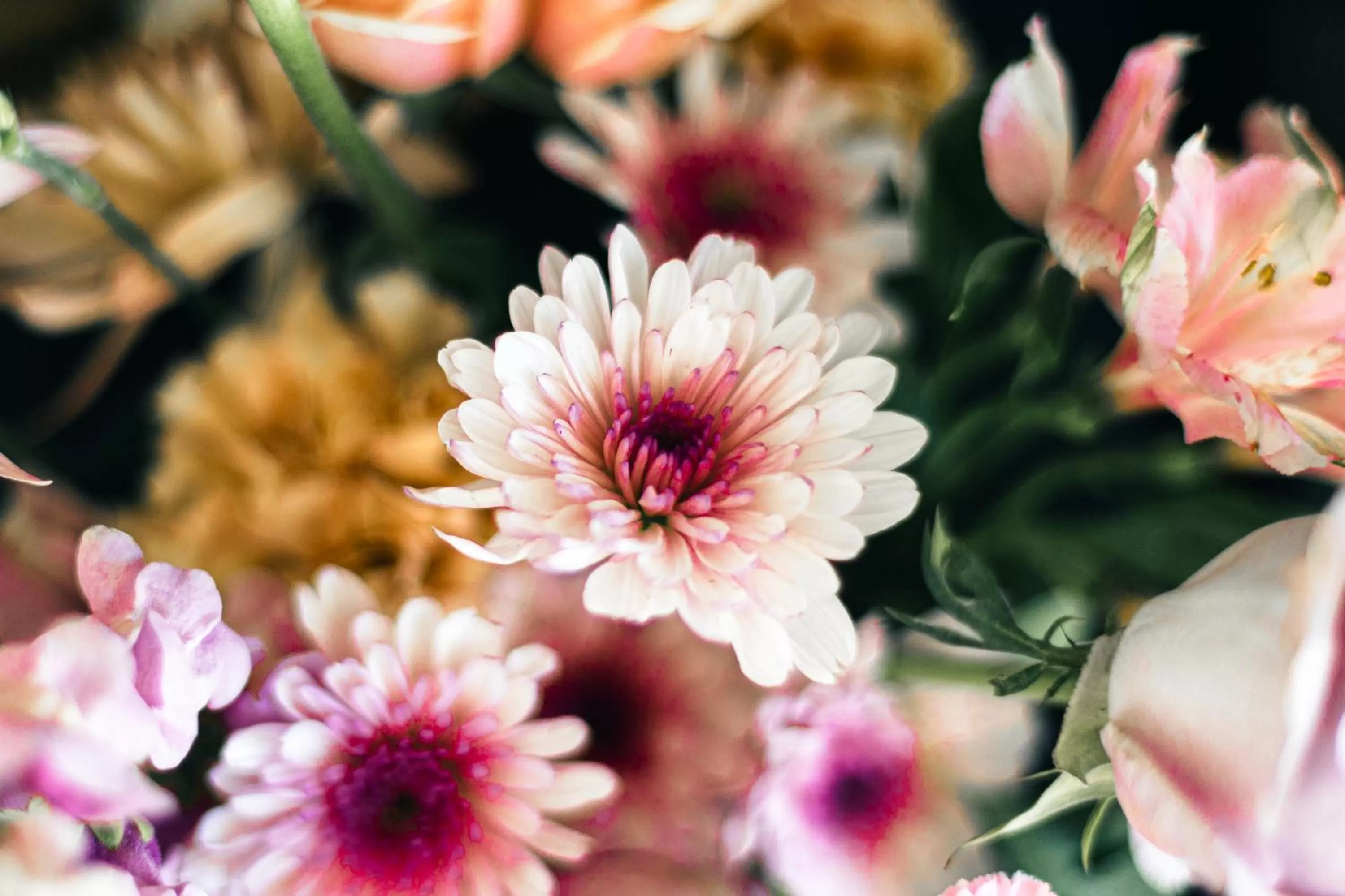 Decorative detail in Hotel Thaxter