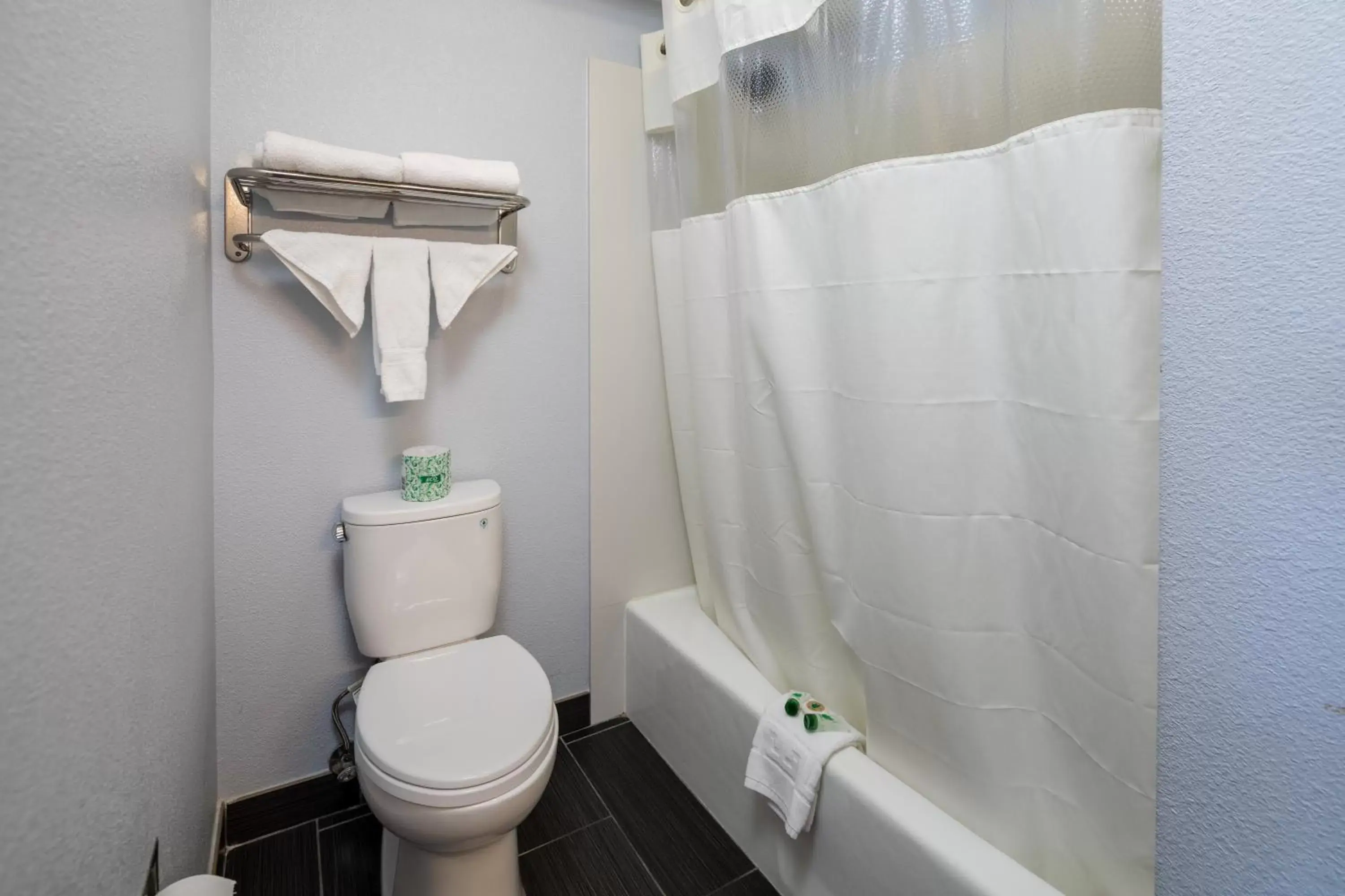 Shower, Bathroom in Silicon Valley Inn