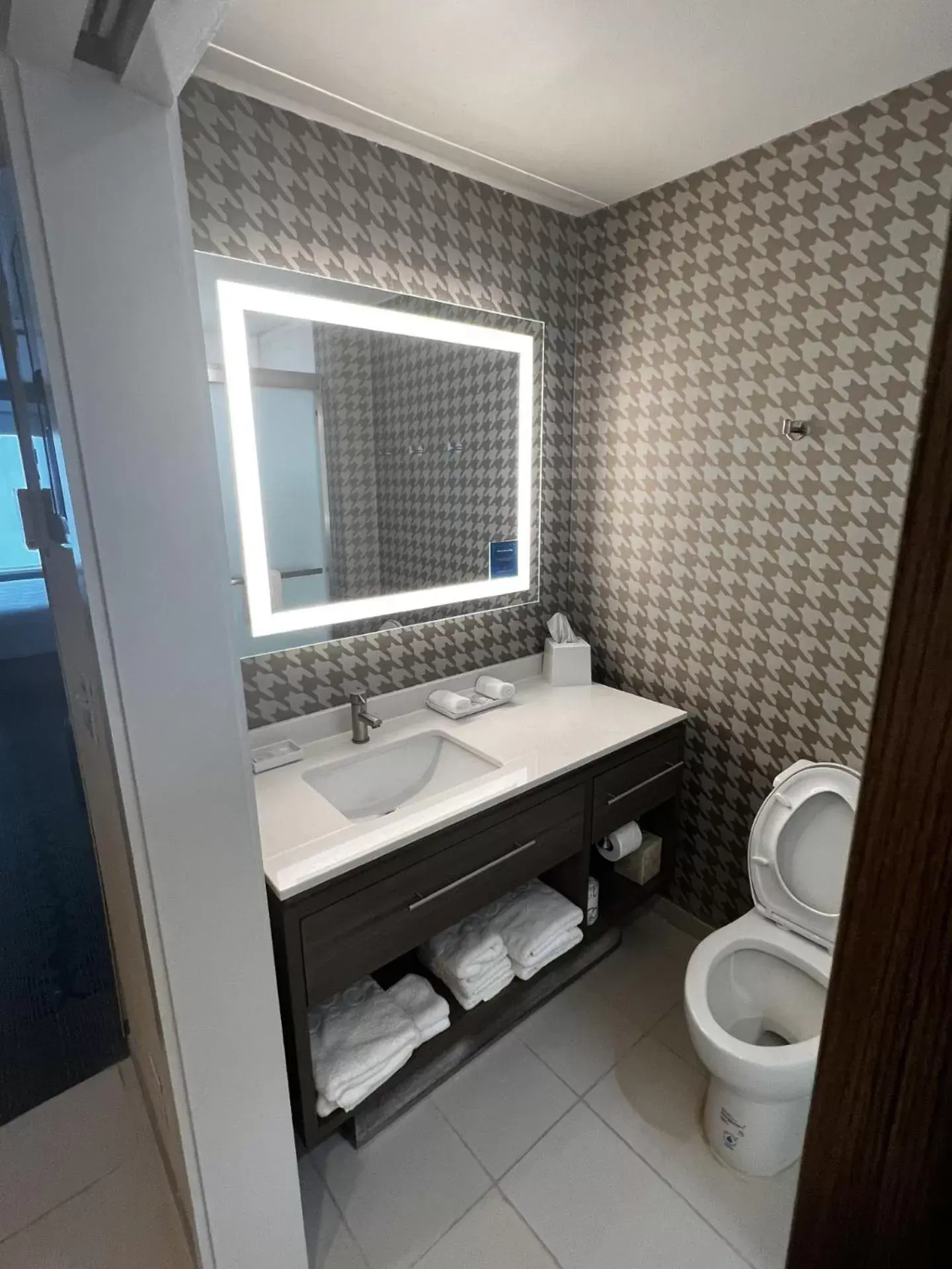Toilet, Bathroom in Home2 Suites By Hilton Hinesville