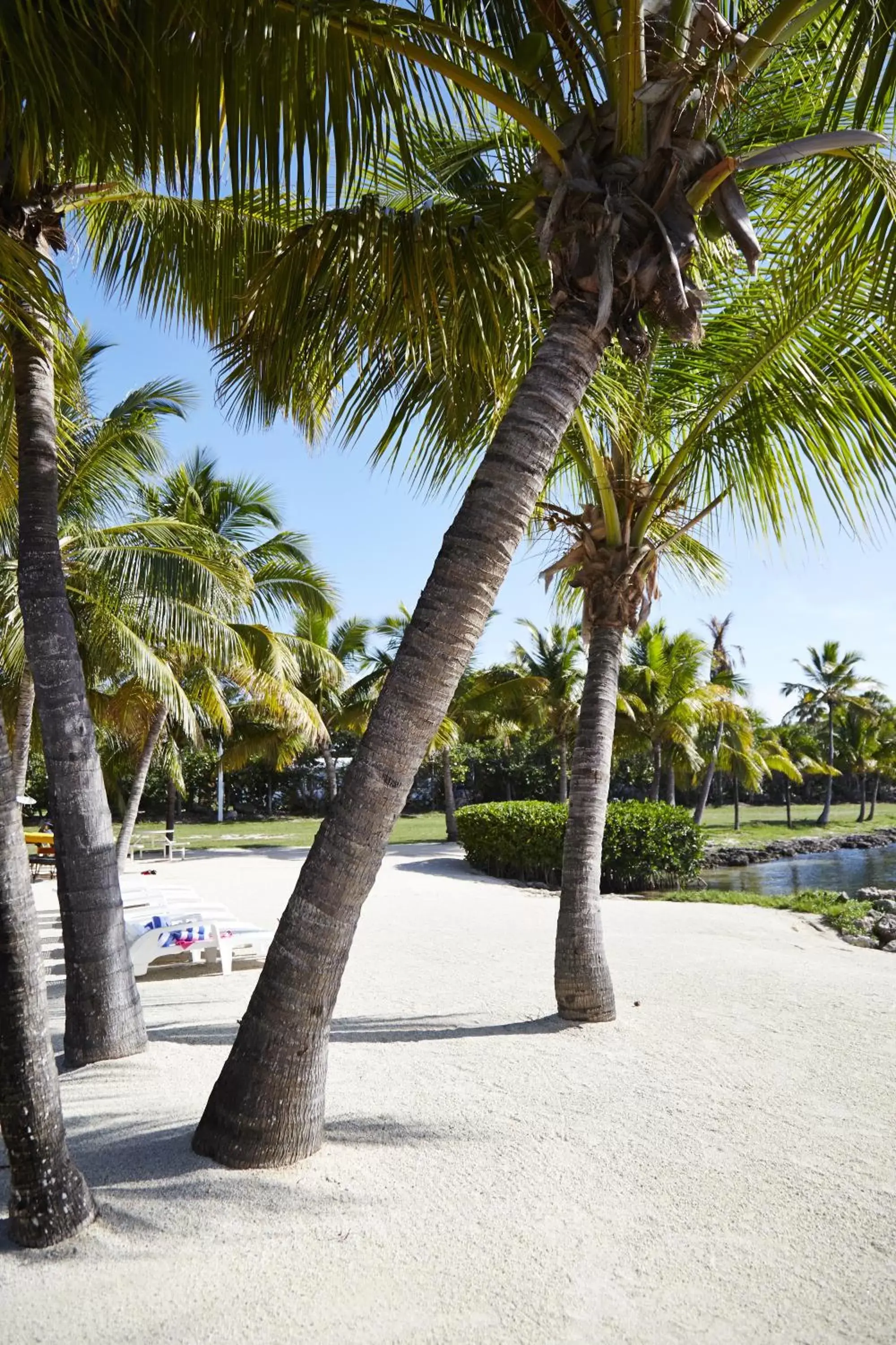 Other, Beach in Atlantic Bay Resort