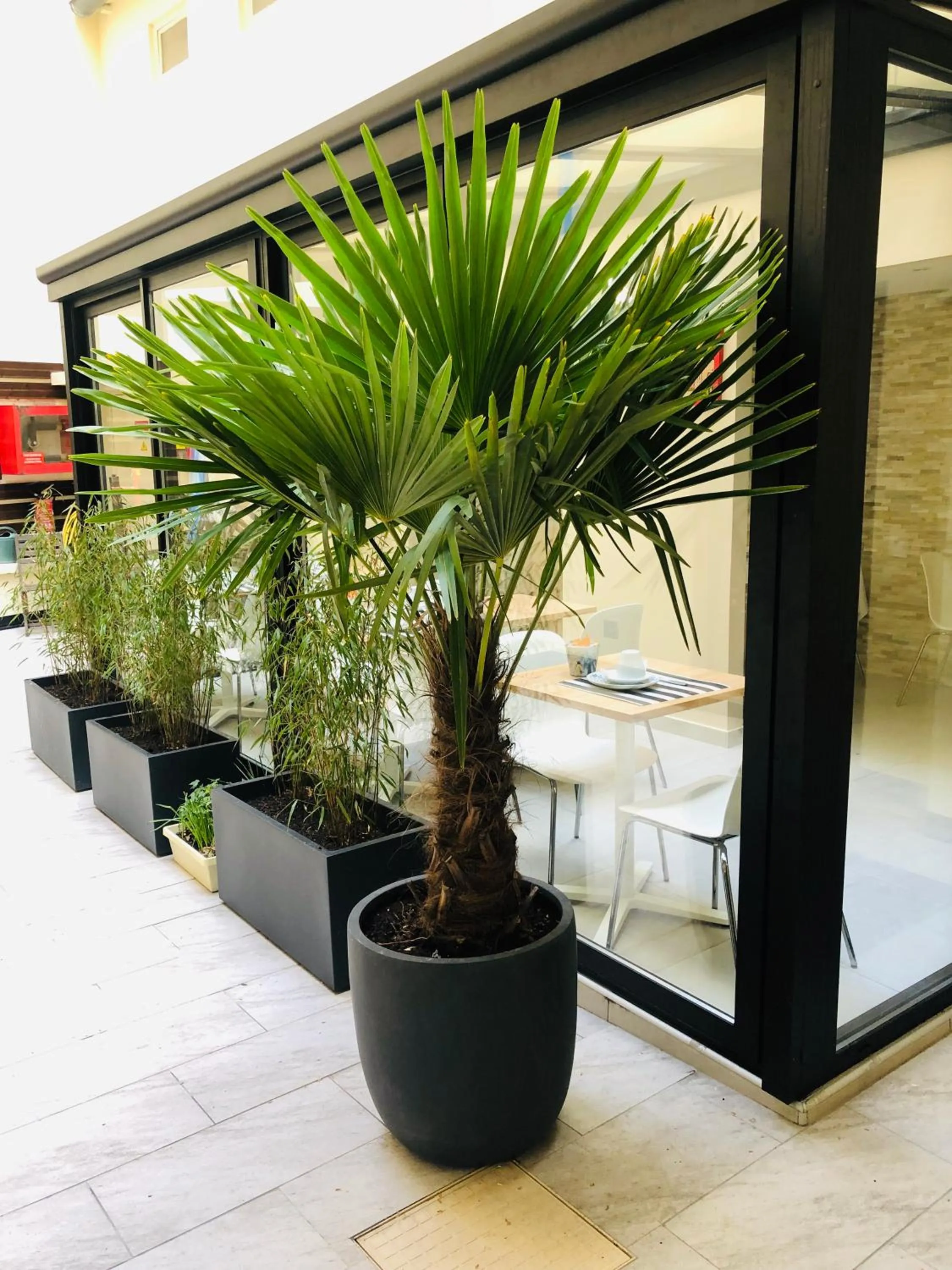 Patio in Marmotel Etoile