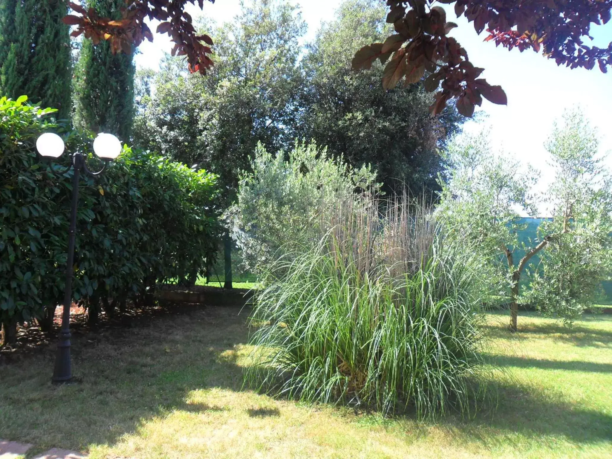 Garden in Casale Santa Caterina