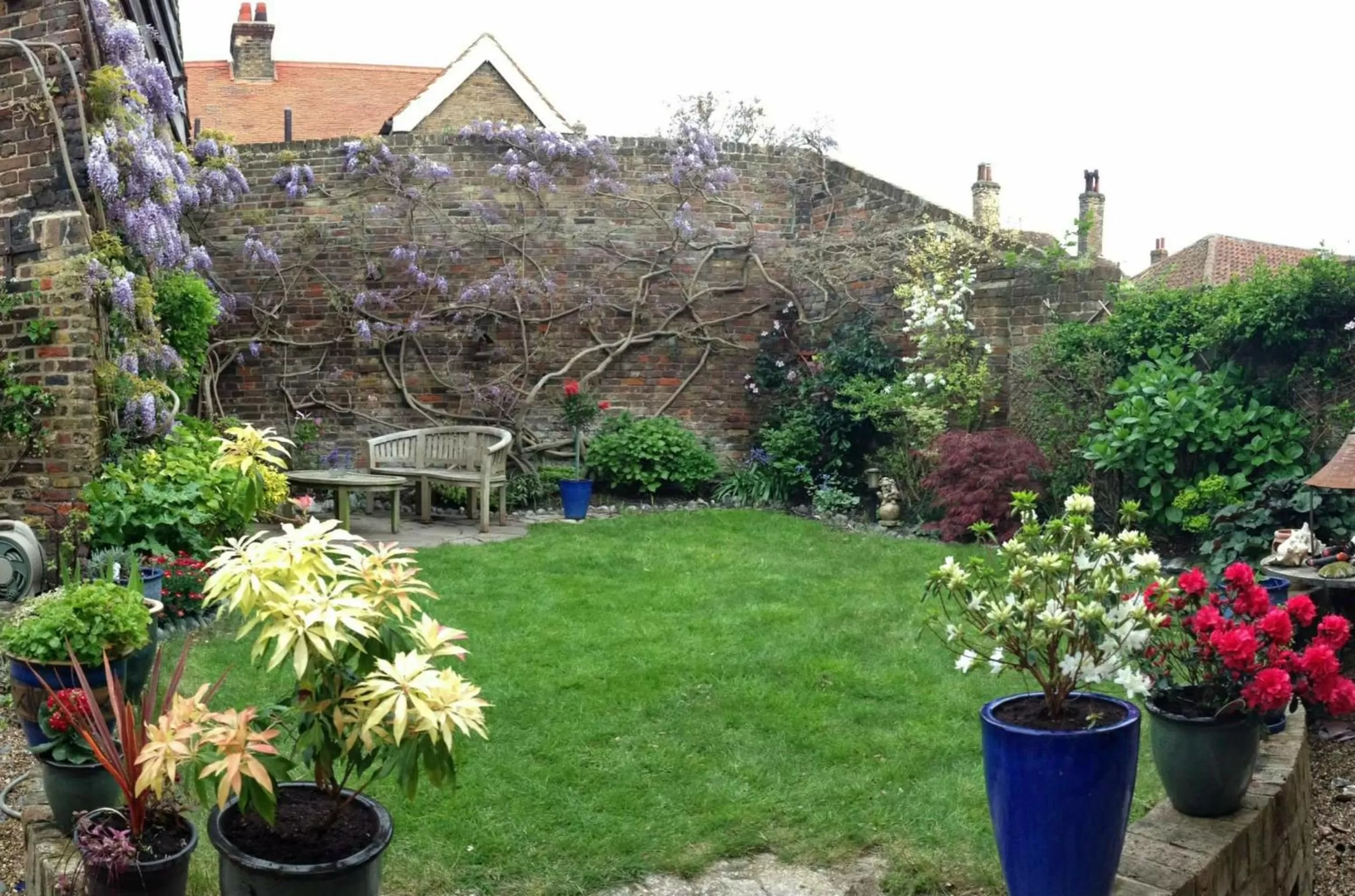 Garden in St Peters Bed and Breakfast