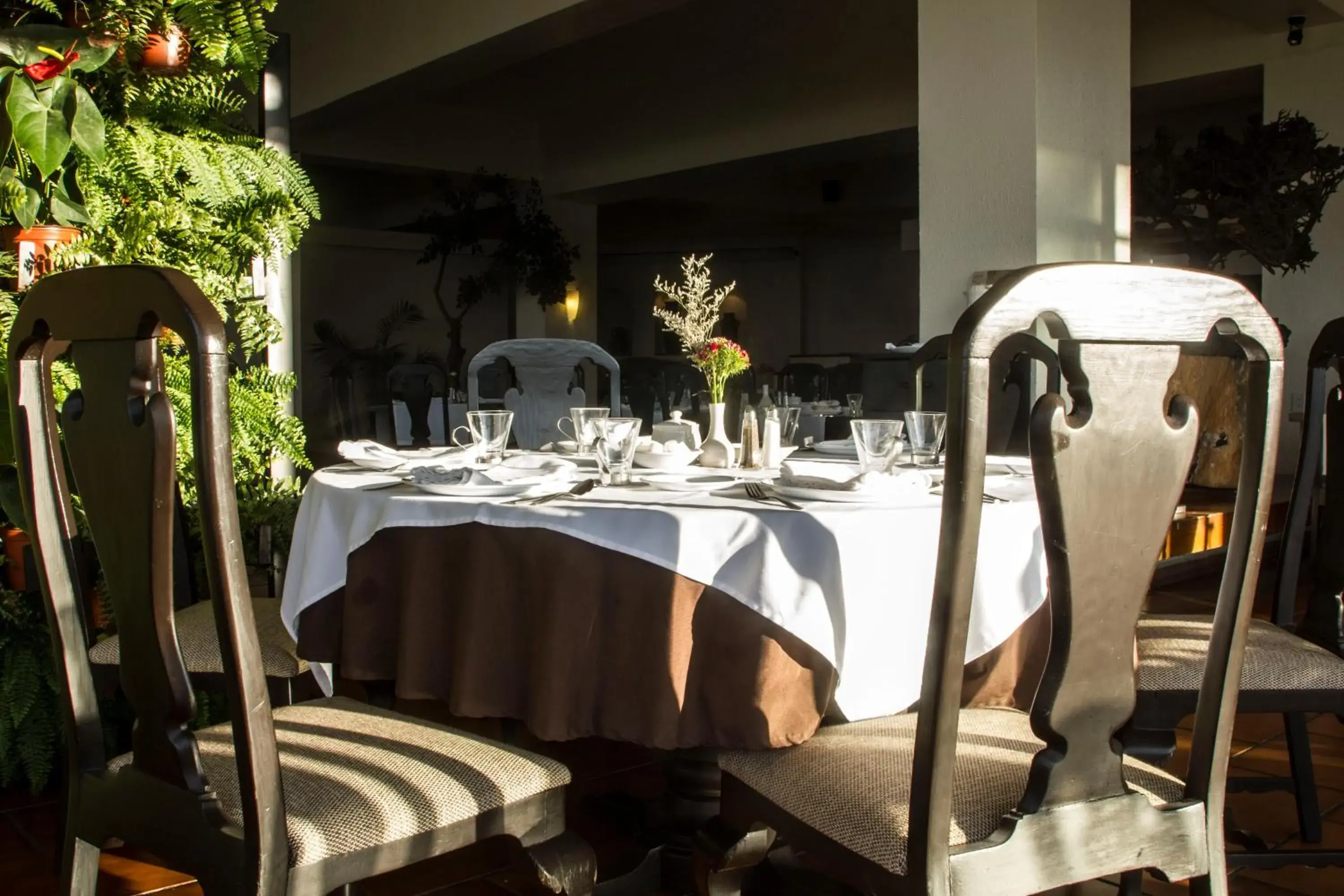 Restaurant/Places to Eat in Hotel Villa del Conquistador