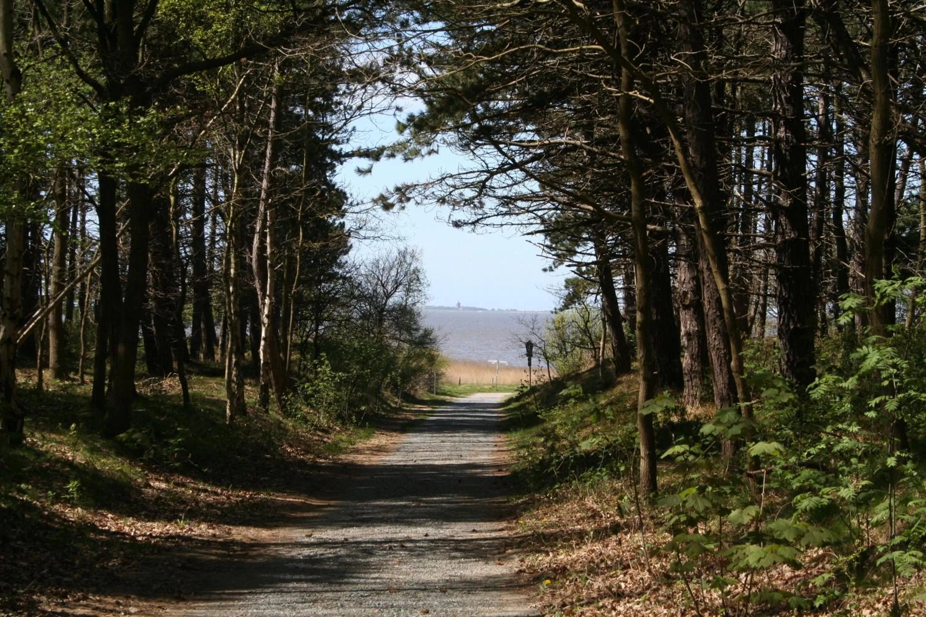 Area and facilities in Aparthotel Am Meer