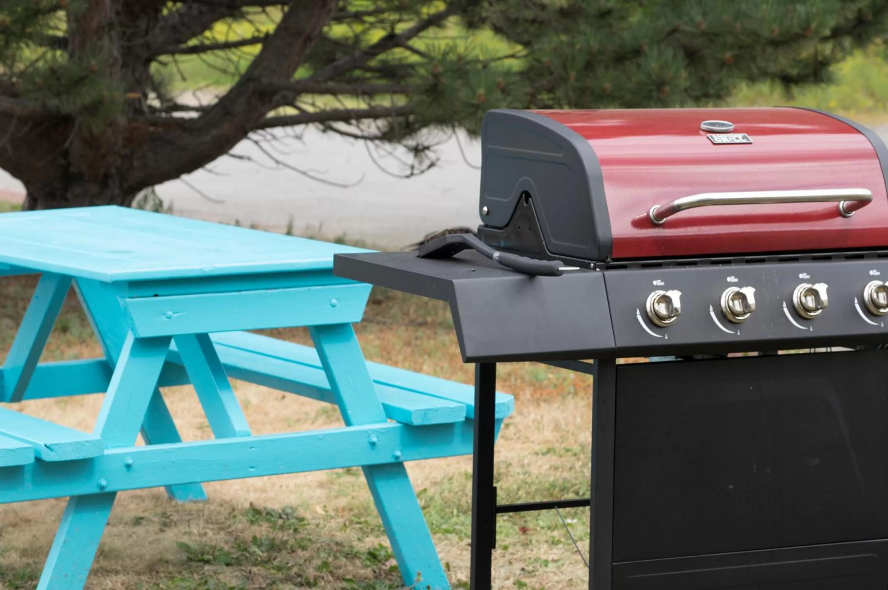BBQ facilities in Mount Peyton Resort & Conference Centre