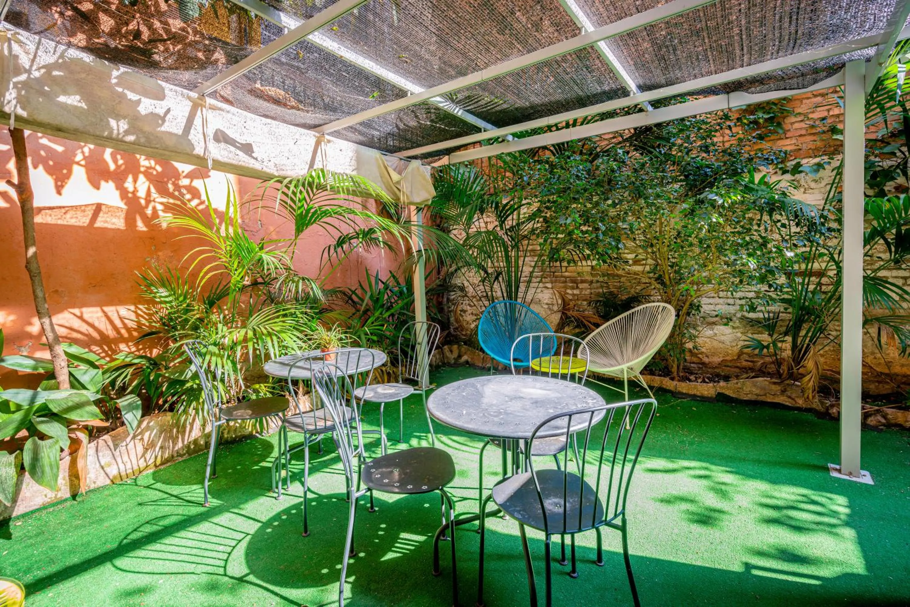 Garden in Casa Barcelo Hostel Barcelona